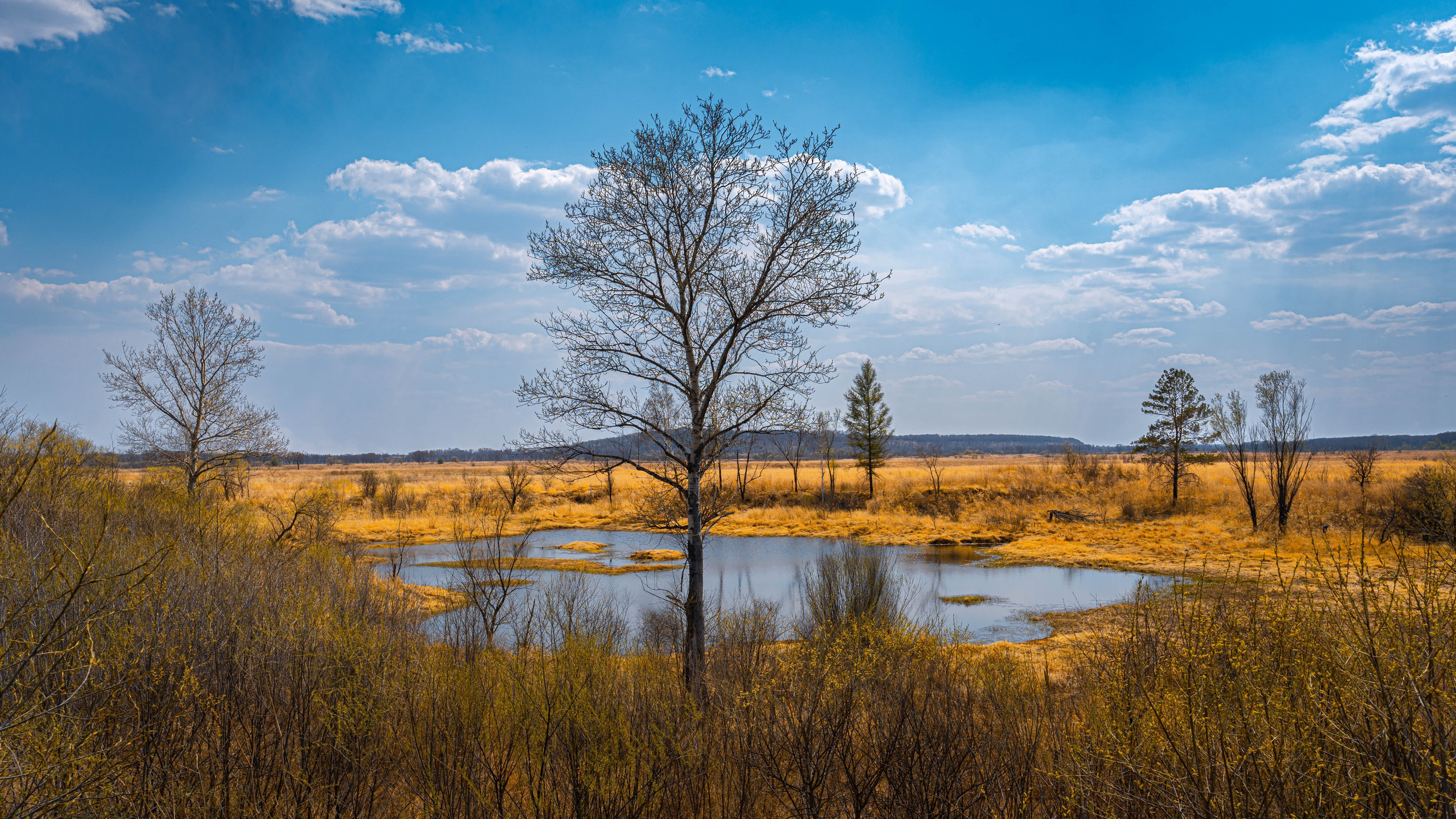 Портфолио. Фотограф и видеограф, видеомонтаж в Амурской области Игорь Иванов