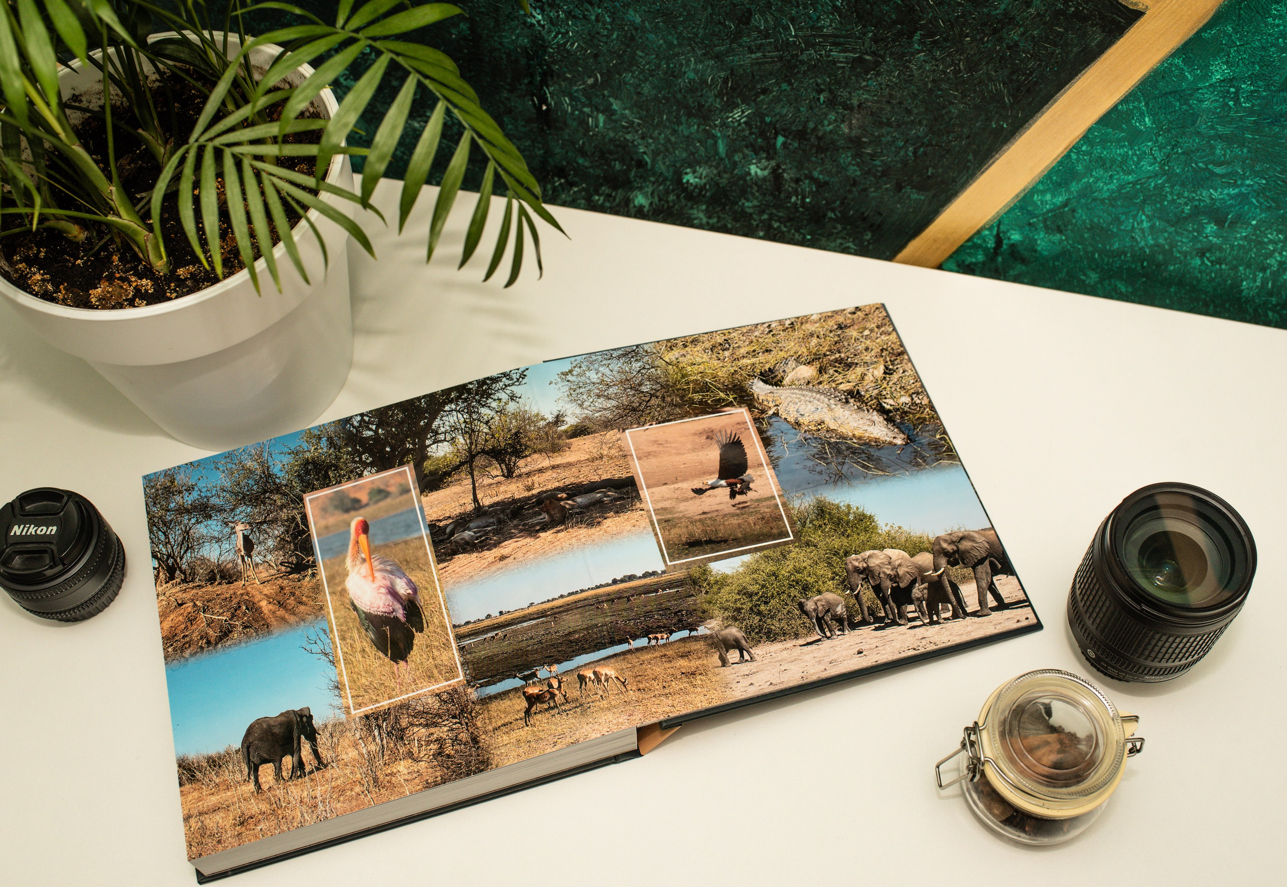 Фотокнига Африка. MILATE — выпускные альбомы, фотосессии и видео в Москве