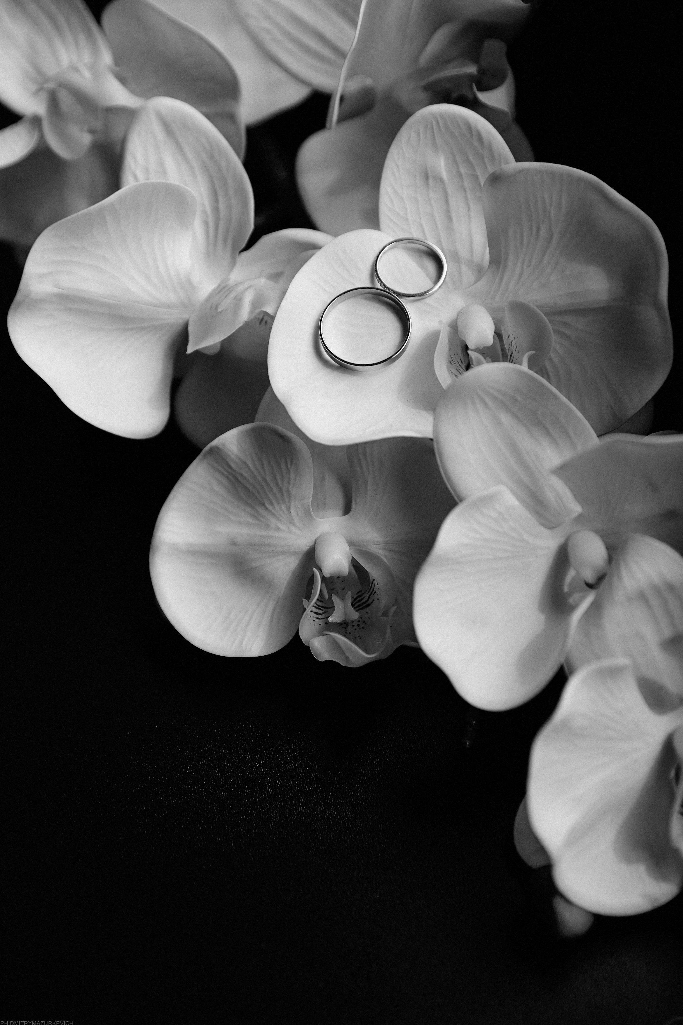 LOVE YOU!. Дмитрий Мазуркевич: Профессиональный Репортажный Фотограф