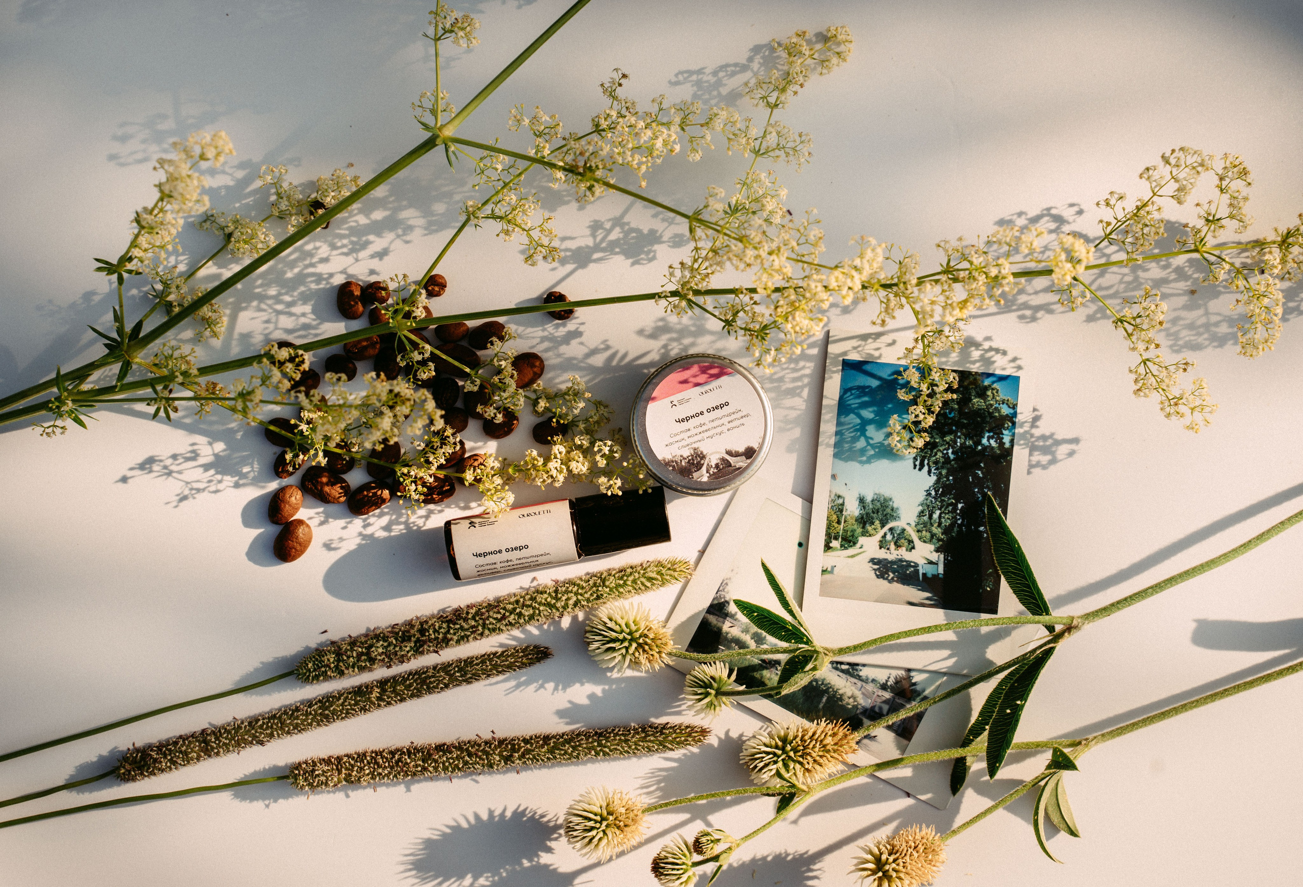 «Парки рядом» / мерч дирекции парков и скверов РТ. Саша Копылов, фотограф в Казани