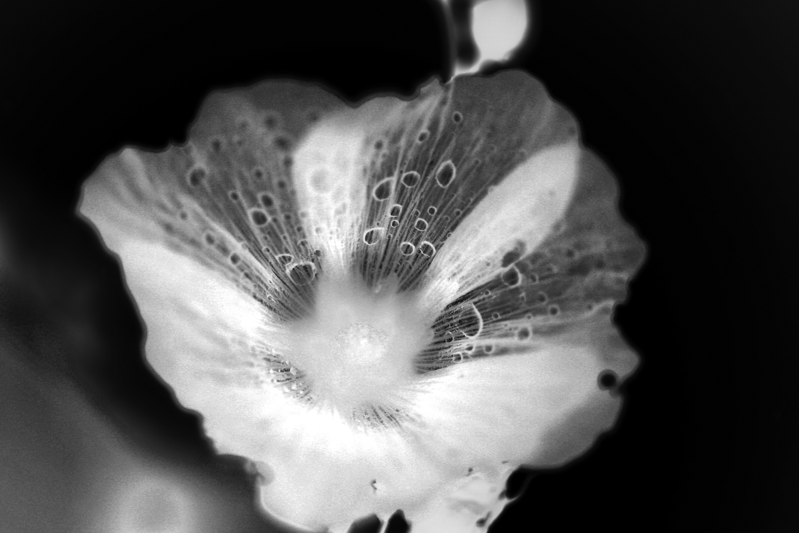 Наталья Алаторцева