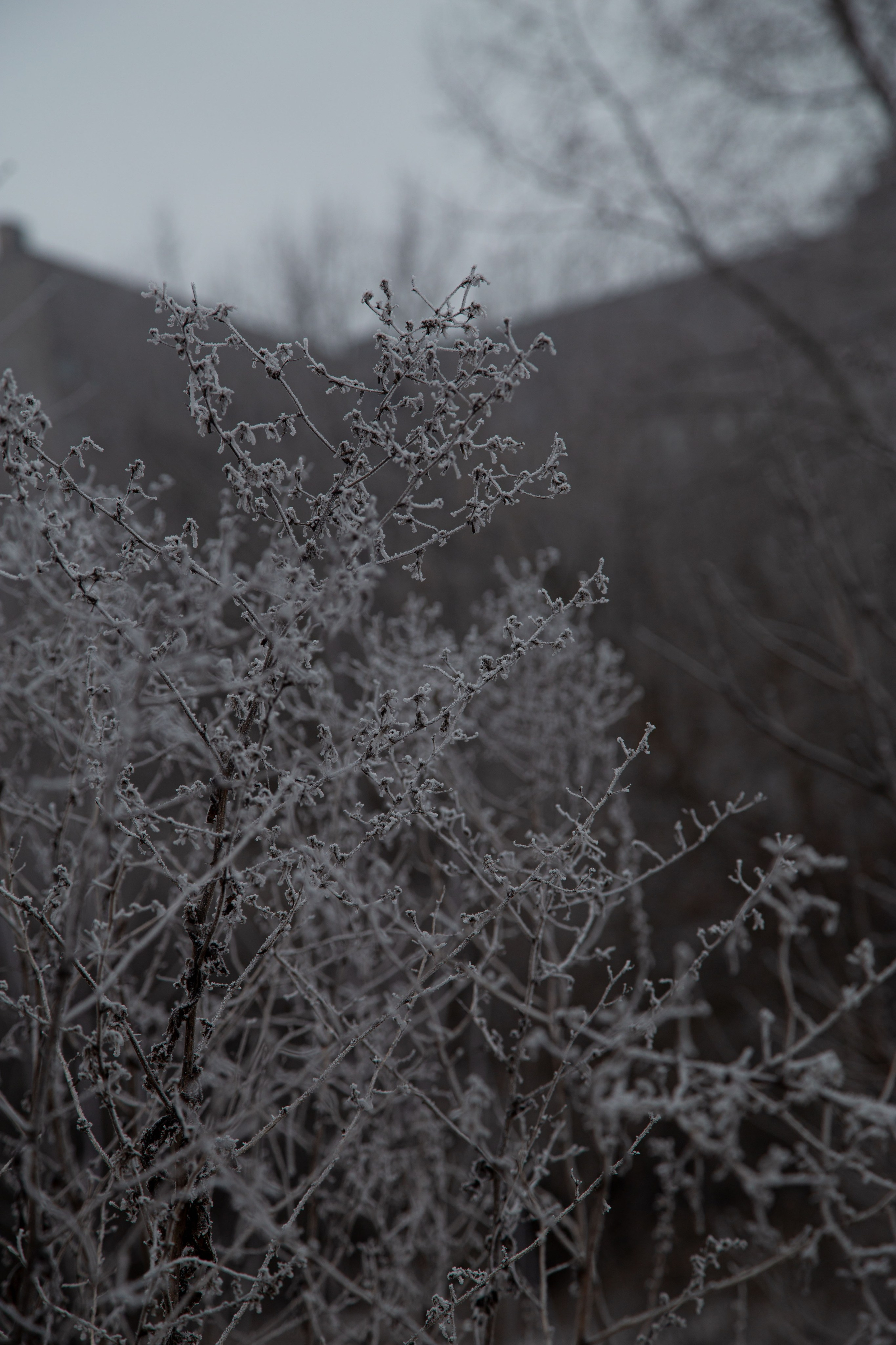 Воздух февраля. Dmitriy [KCCC] is a pretty cool photographer