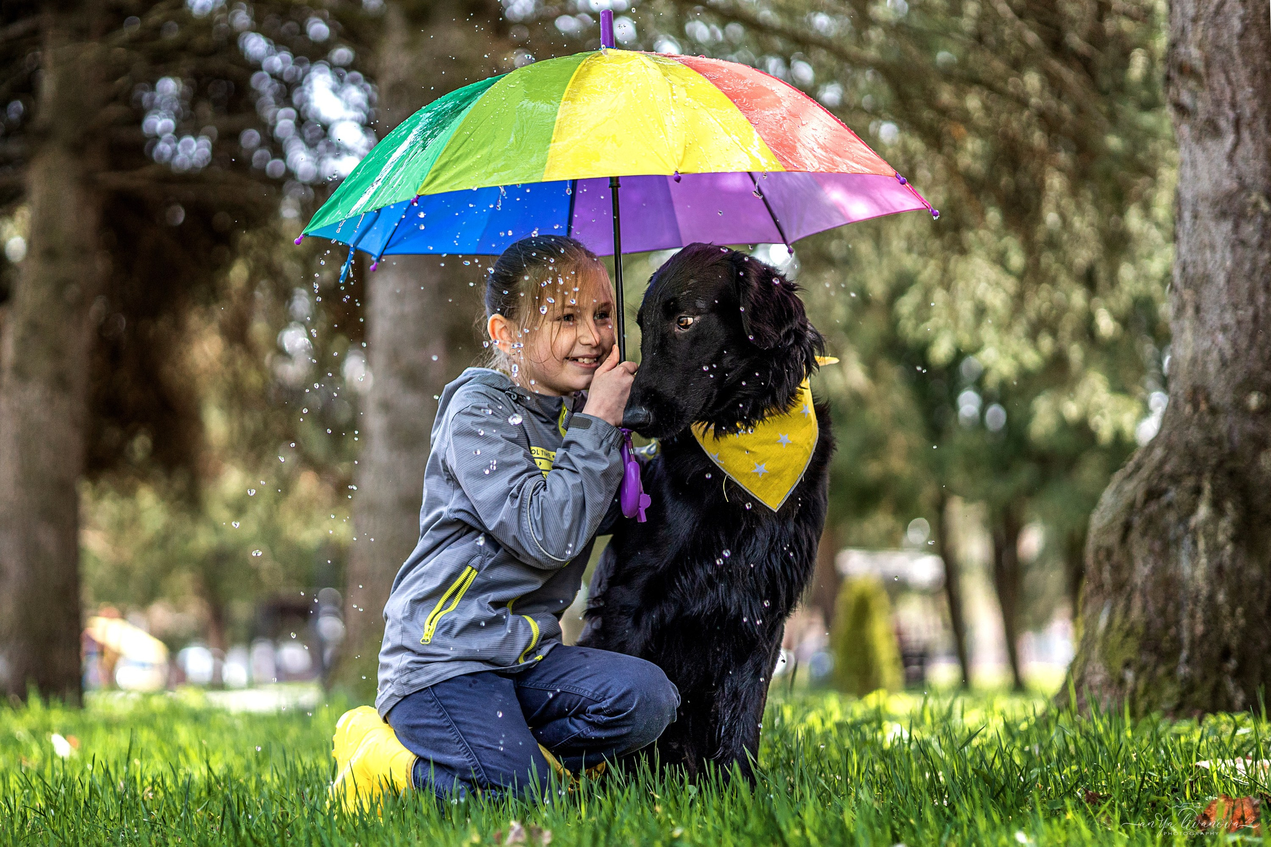 Солнышки. Фотограф анималист Аня Ливанова | Рыбинск