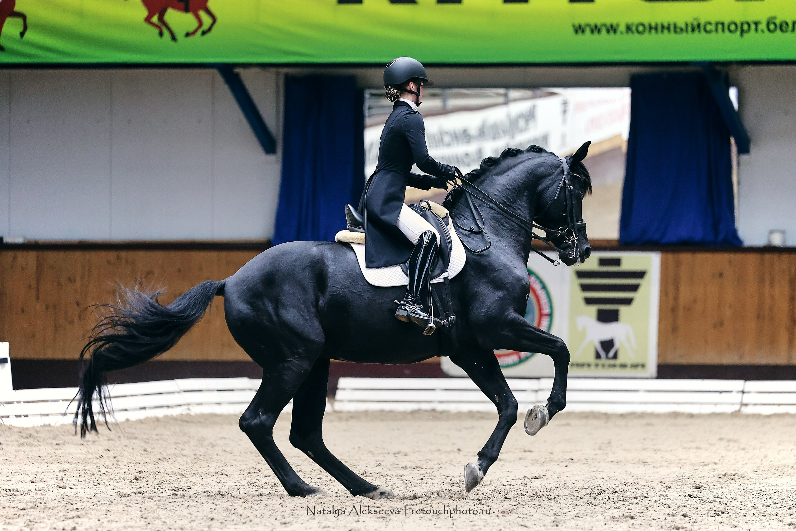 Звезды Евразии по выездке, Минск | 10'2023. Репортажный фотограф и ретушер в Москве Наталья Алексеева