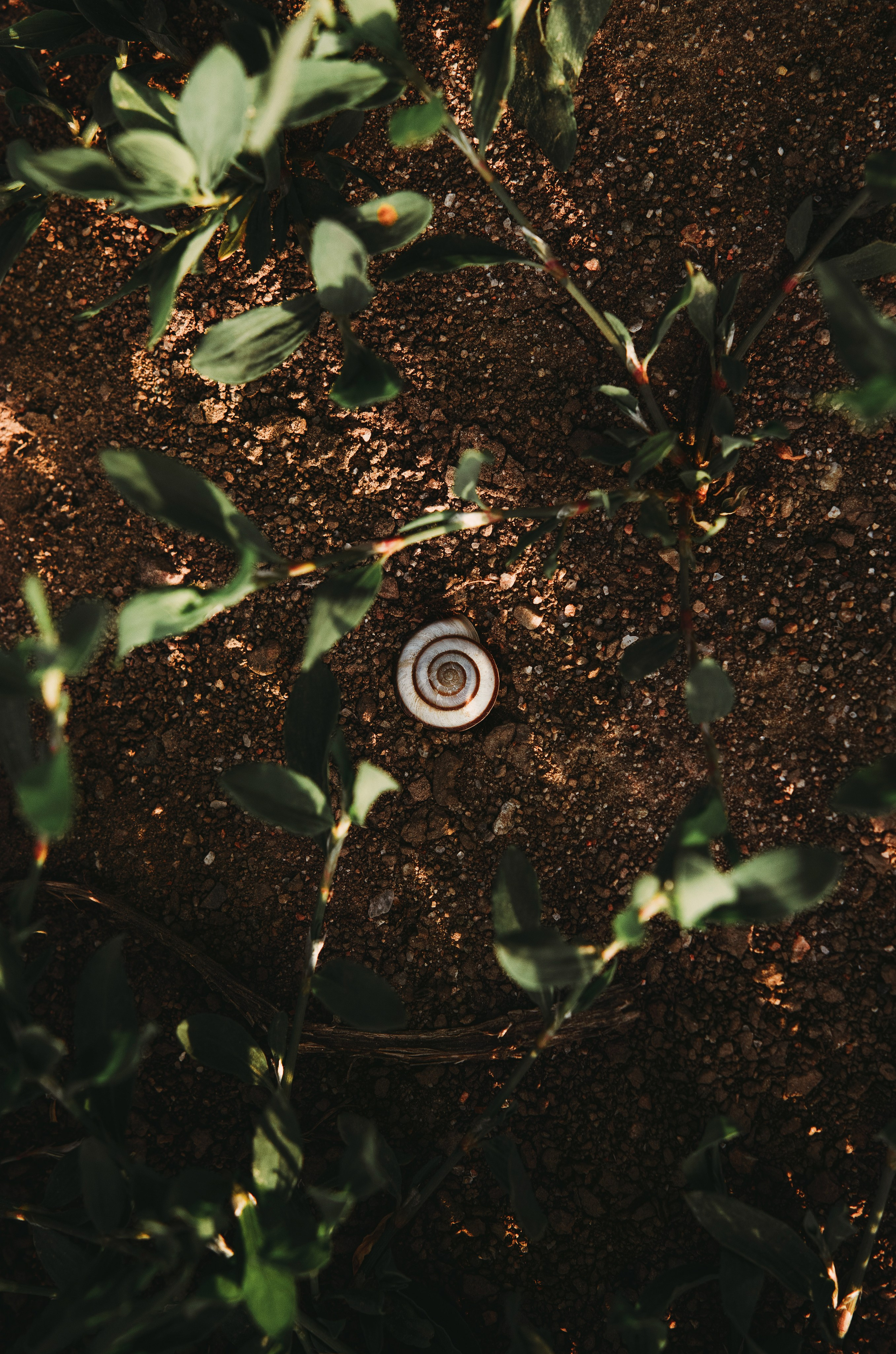 Жизнь. Фотограф Алматы | Весь мир — Никита Колодин