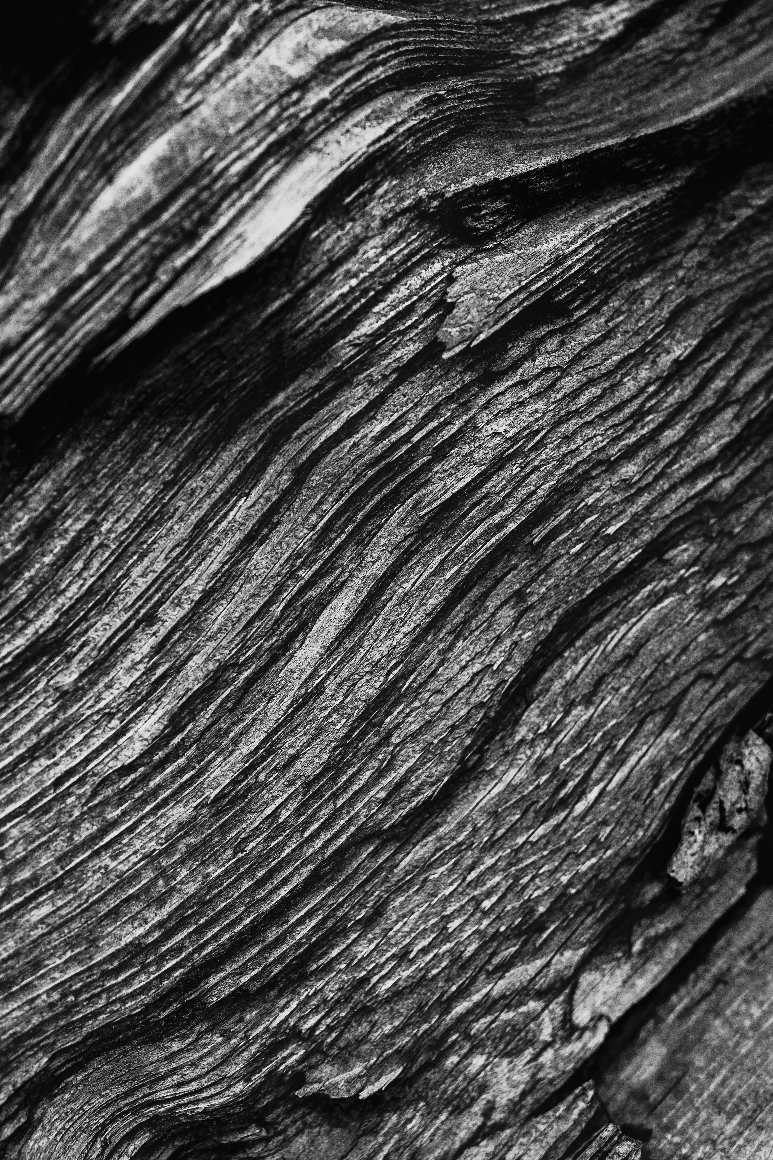 Жизнь. Фотограф Алматы | Весь мир — Никита Колодин