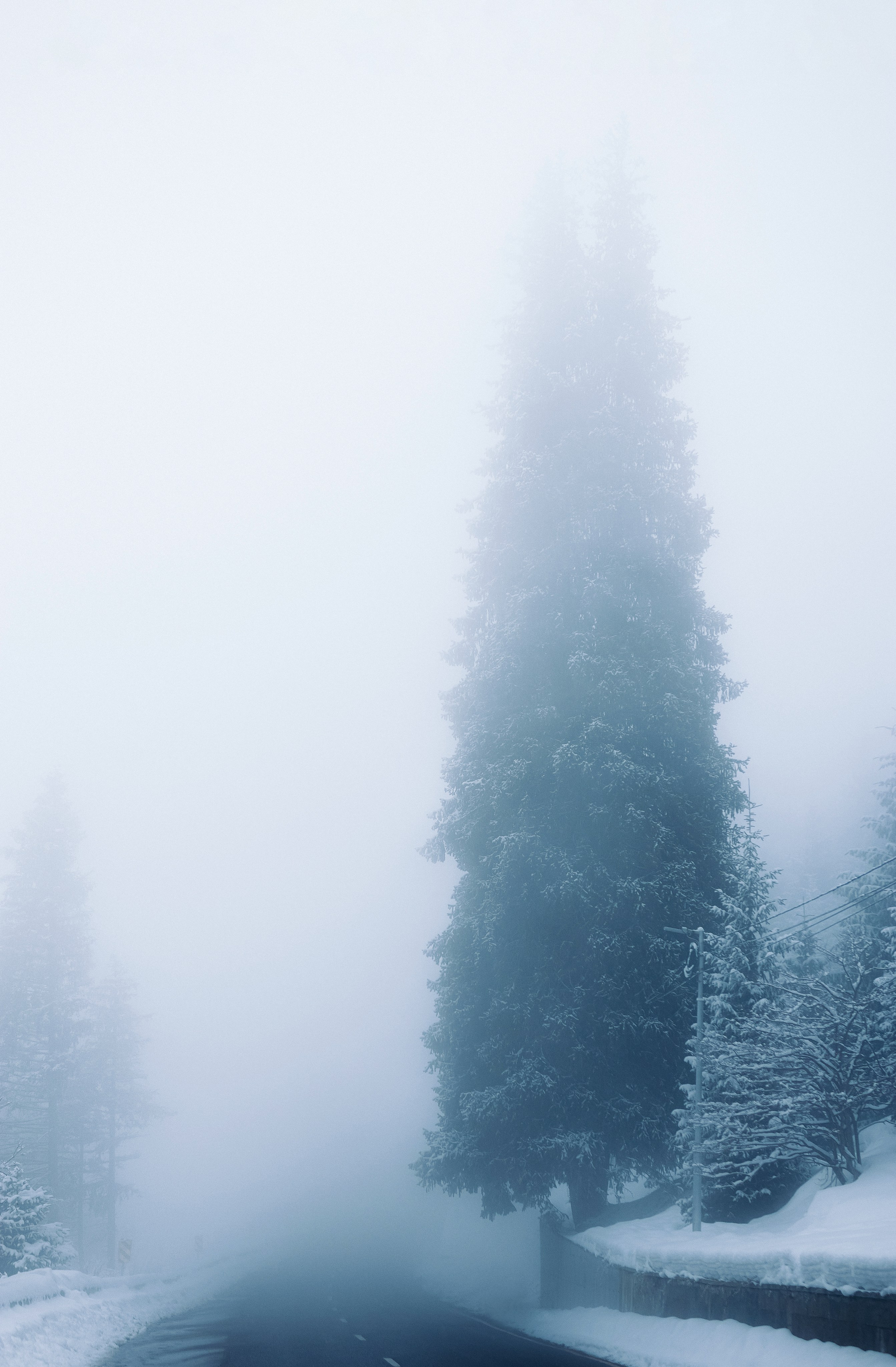 Жизнь. Фотограф Алматы | Весь мир — Никита Колодин