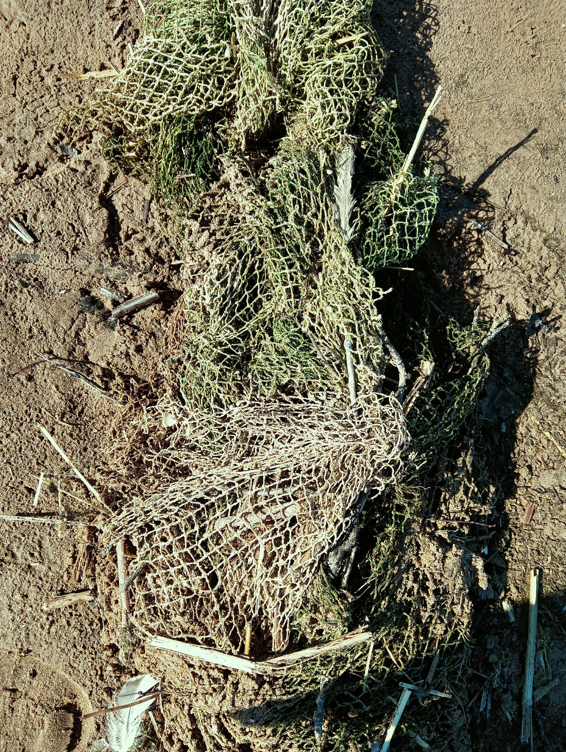 Фотосессии на заливе/на природе. May the numbers guide us