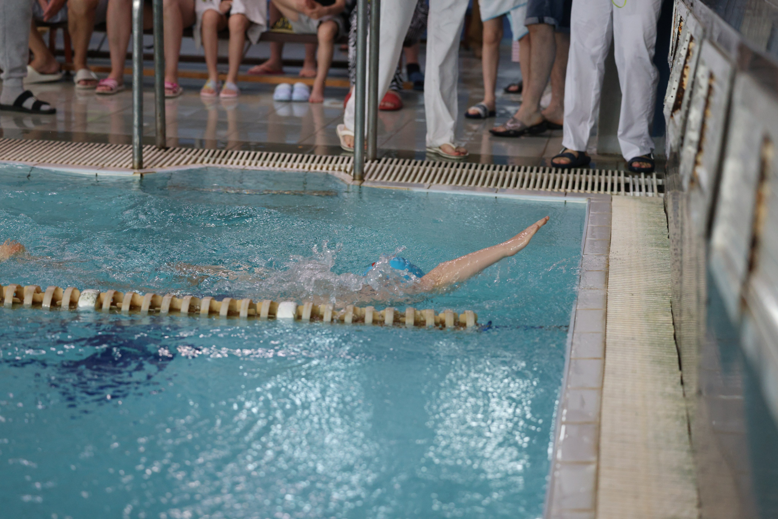 Веселый дельфин. Плавание. Дети 8-9 лет. Фотограф Александр Заломаев