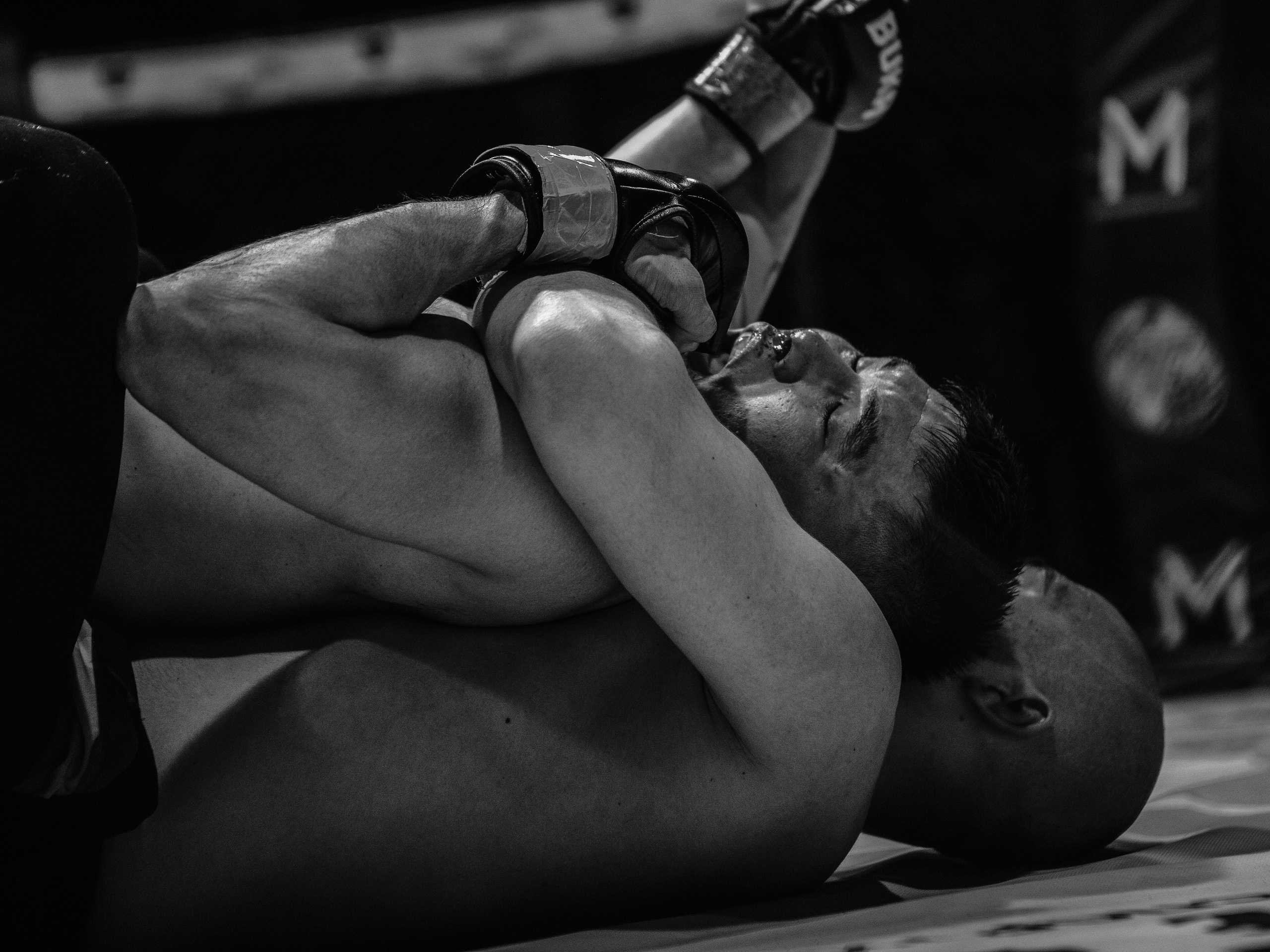 SFL 17 | Siberian Fighting League. Портретный фотограф в Москве Дарья Цезария