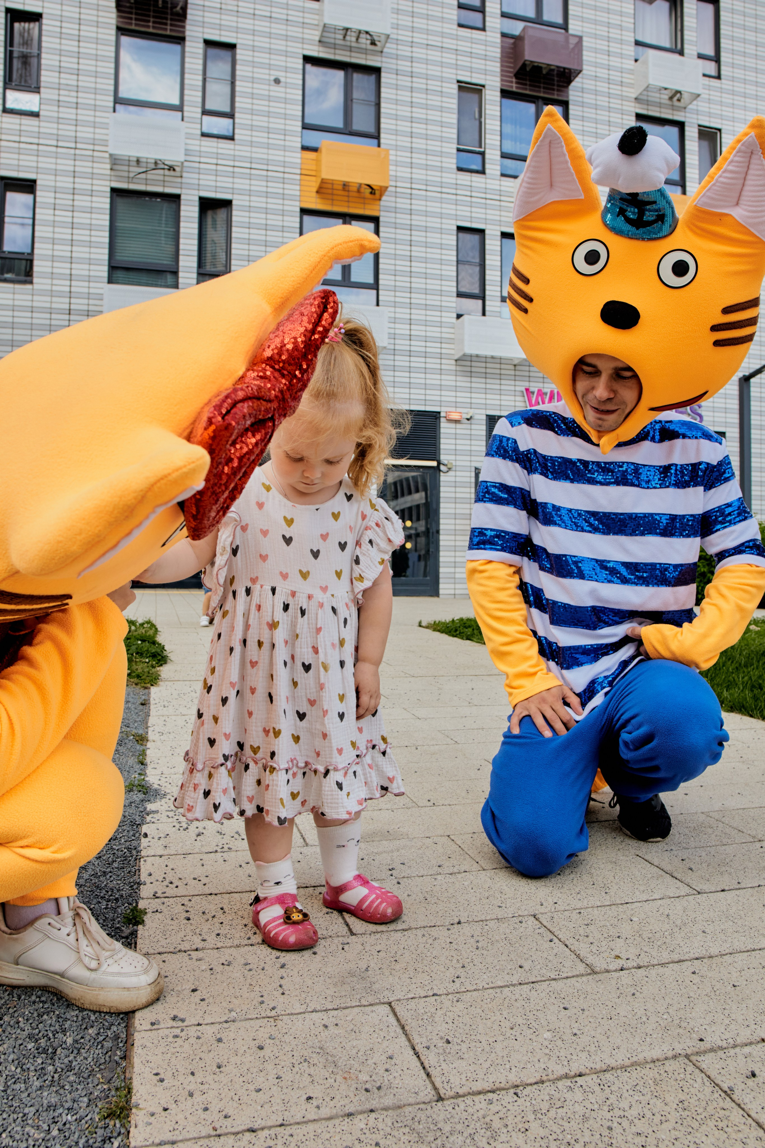 Три кота. Фотограф Москва