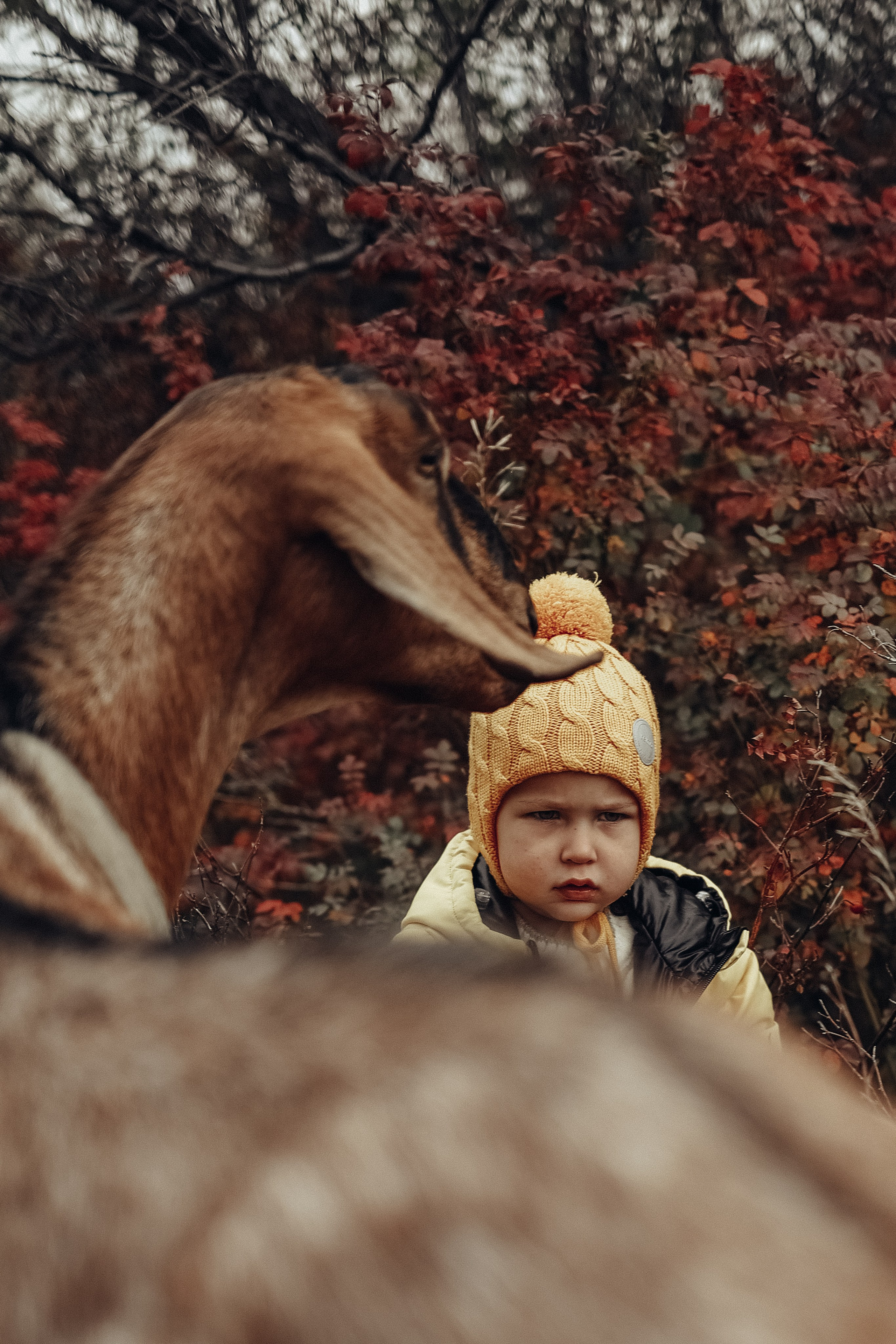 Семейная прогулочная съёмка. Фотограф в Астане Элина Багинская