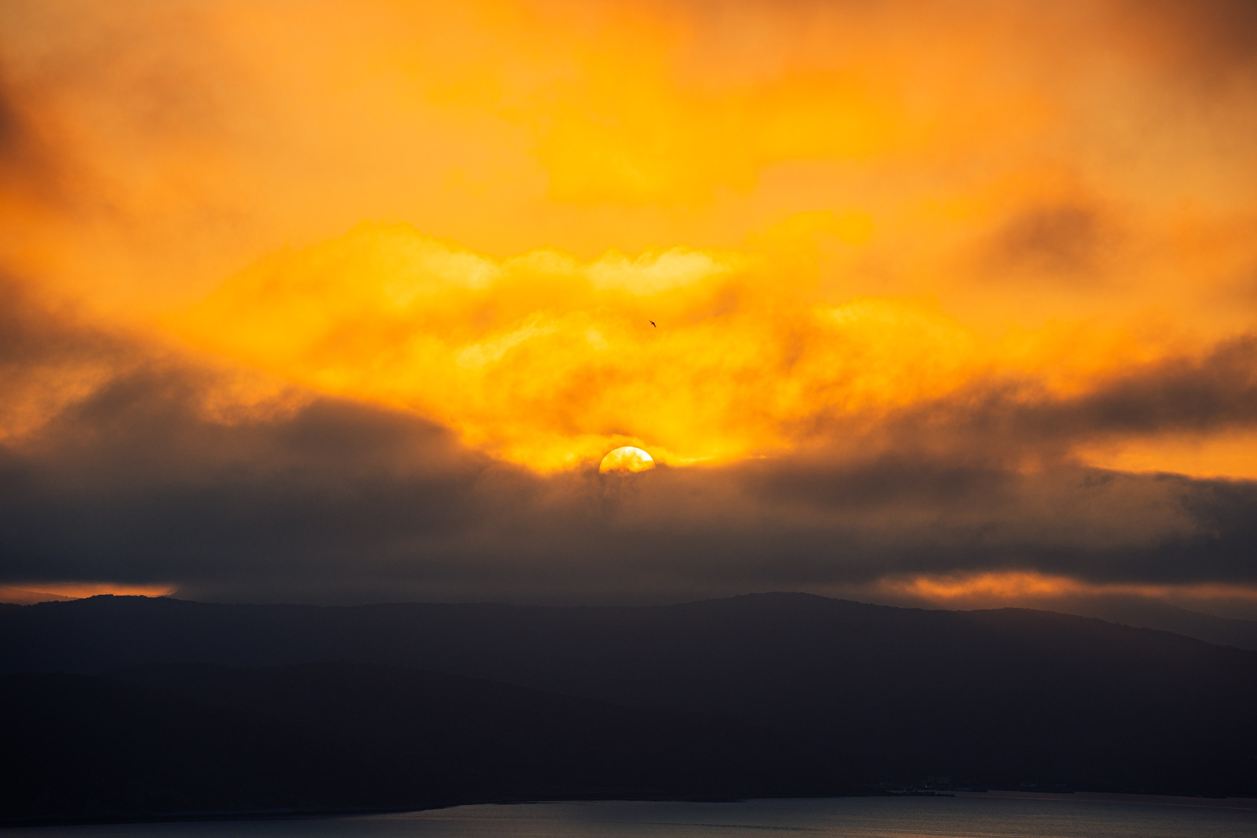 Полуостров Балюзек. Иван Зайцев (IZIART) — создание культурного кода через фото и видео