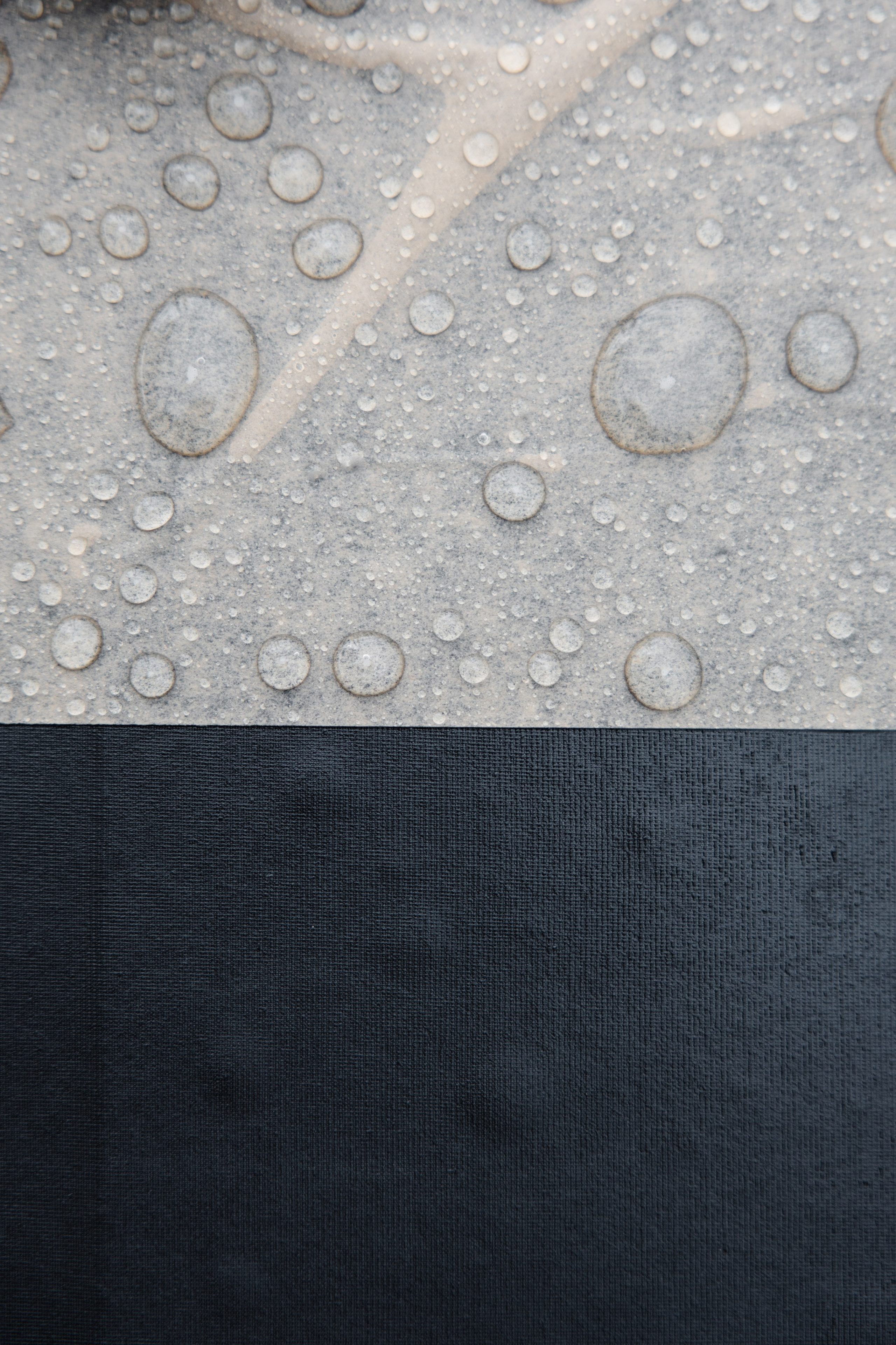 ГЕНДЕР ПАТИ. Фотограф в Красноярске