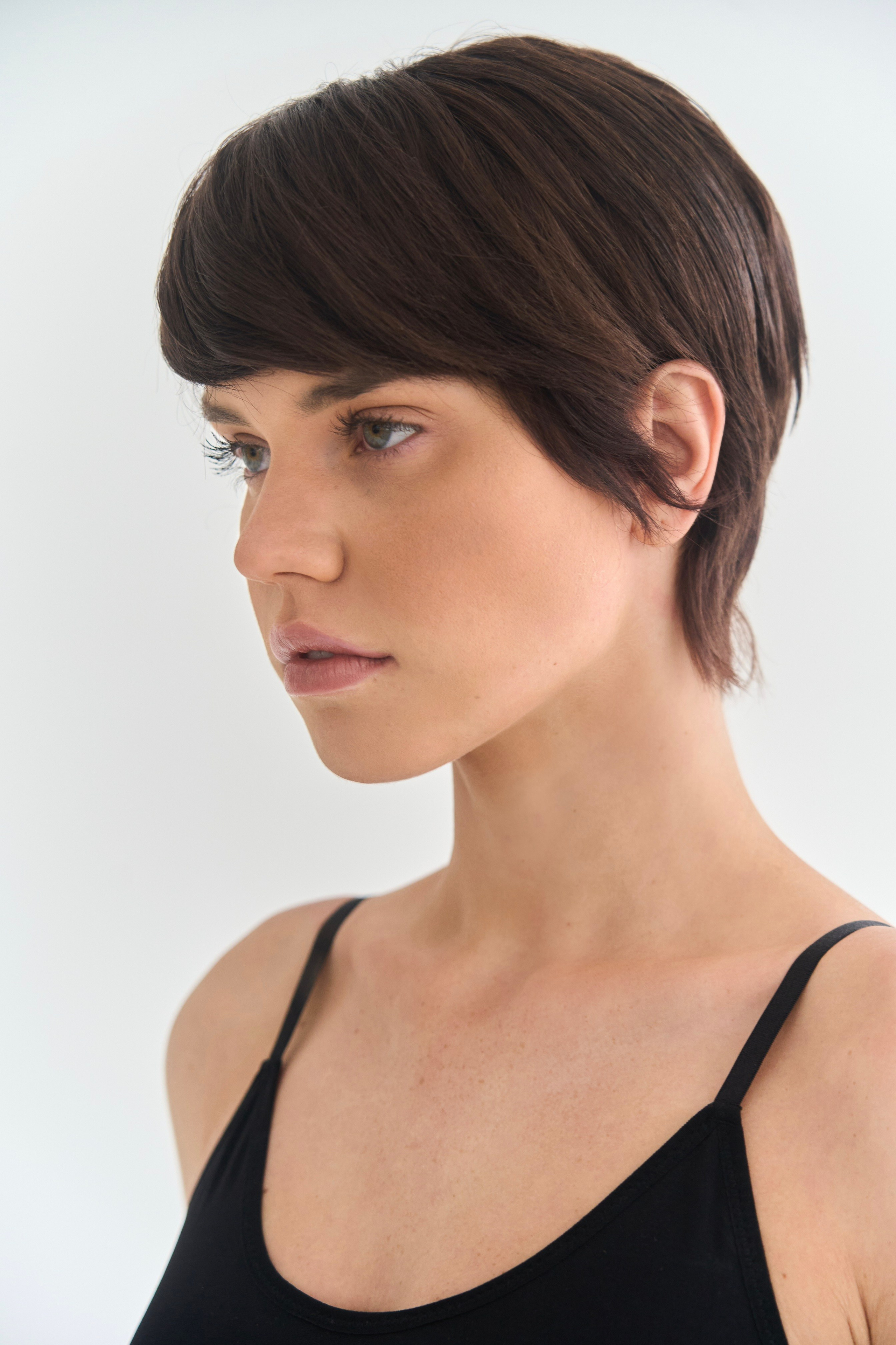 Снепы. Главная