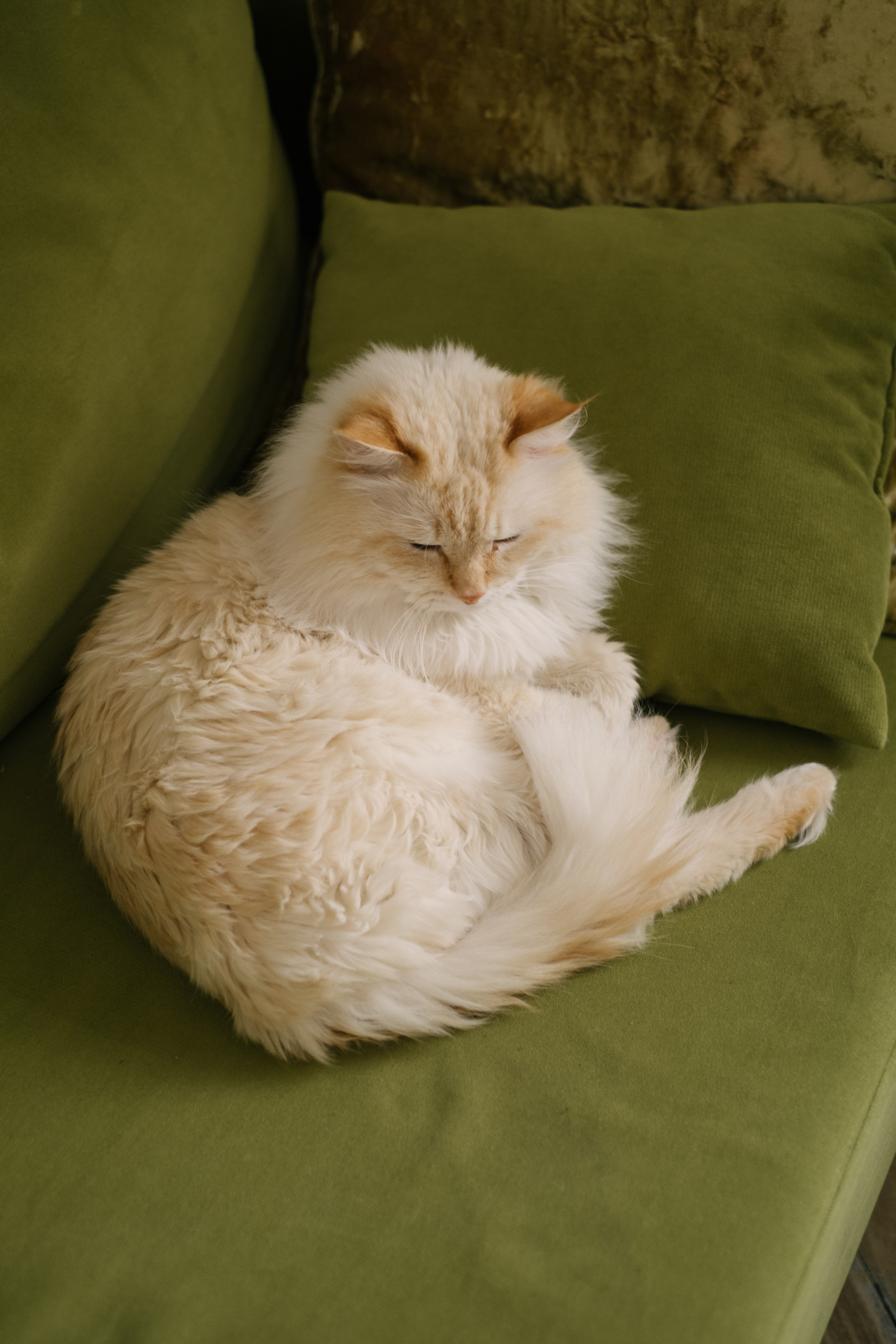 Мама и дочь. Портретный фотограф Правда Анастасия, Екатеринбург