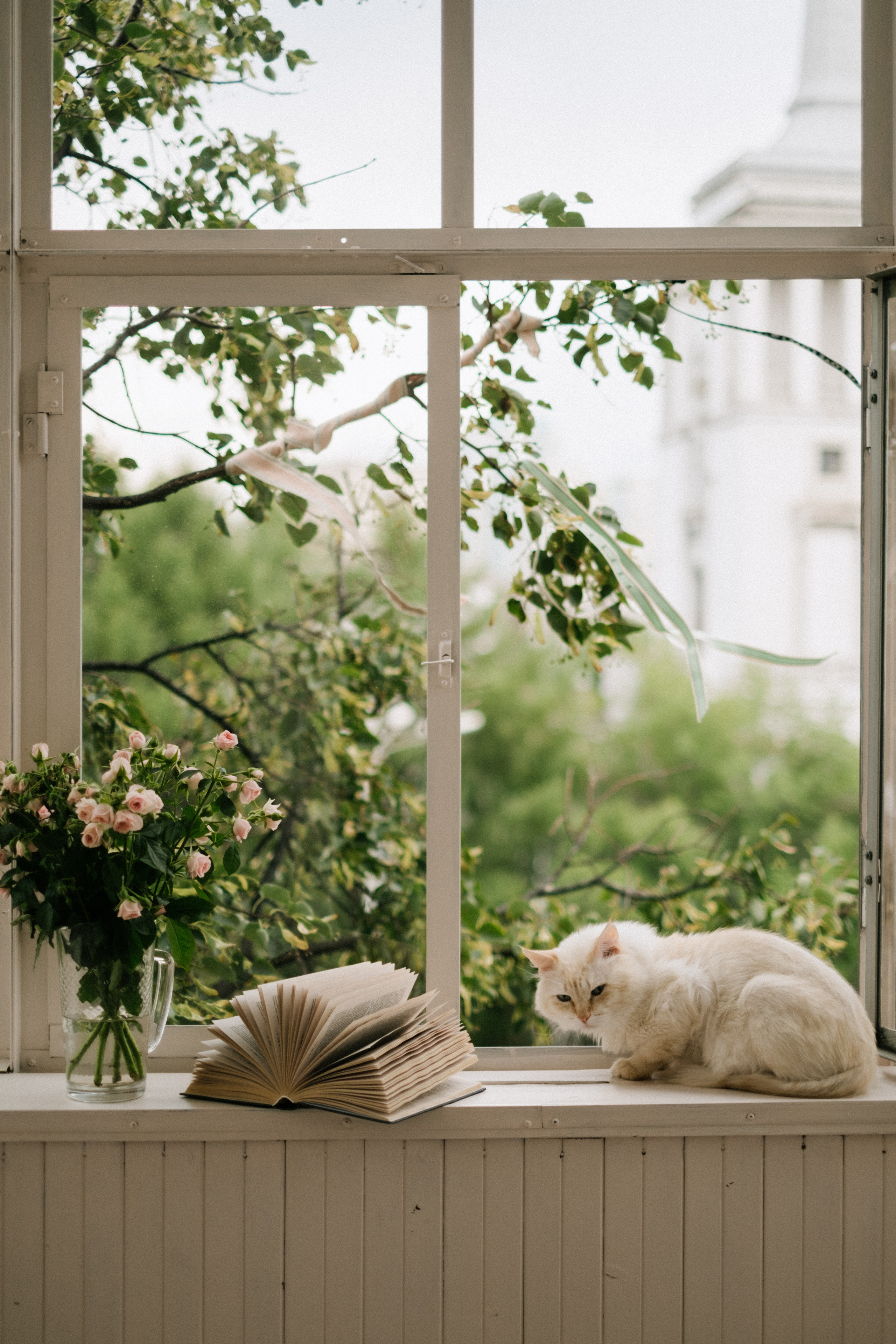 Даша 01.08.21. Портретный фотограф Правда Анастасия, Екатеринбург