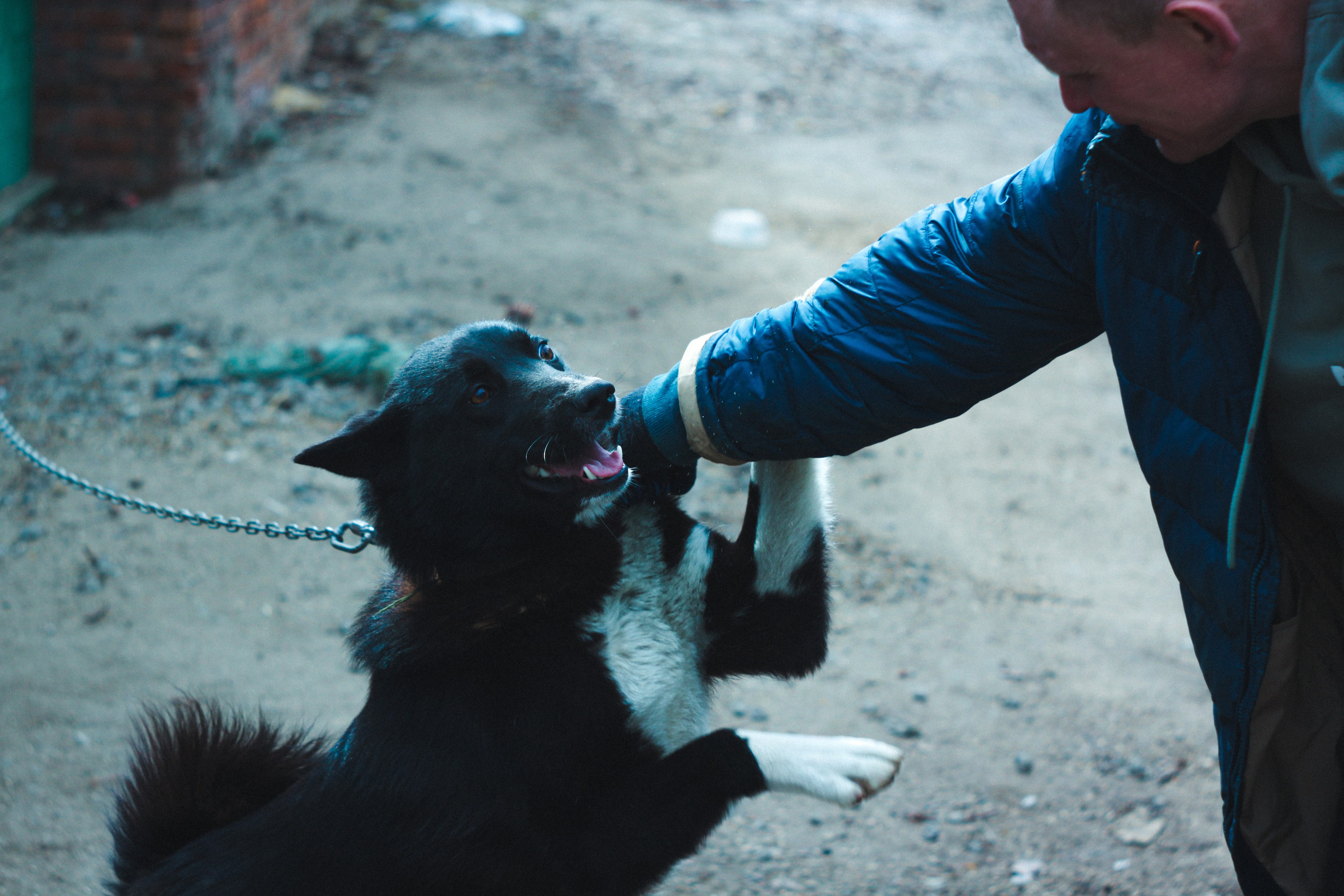Градус смелости. Den Mirov — Фотограф, Музыкант