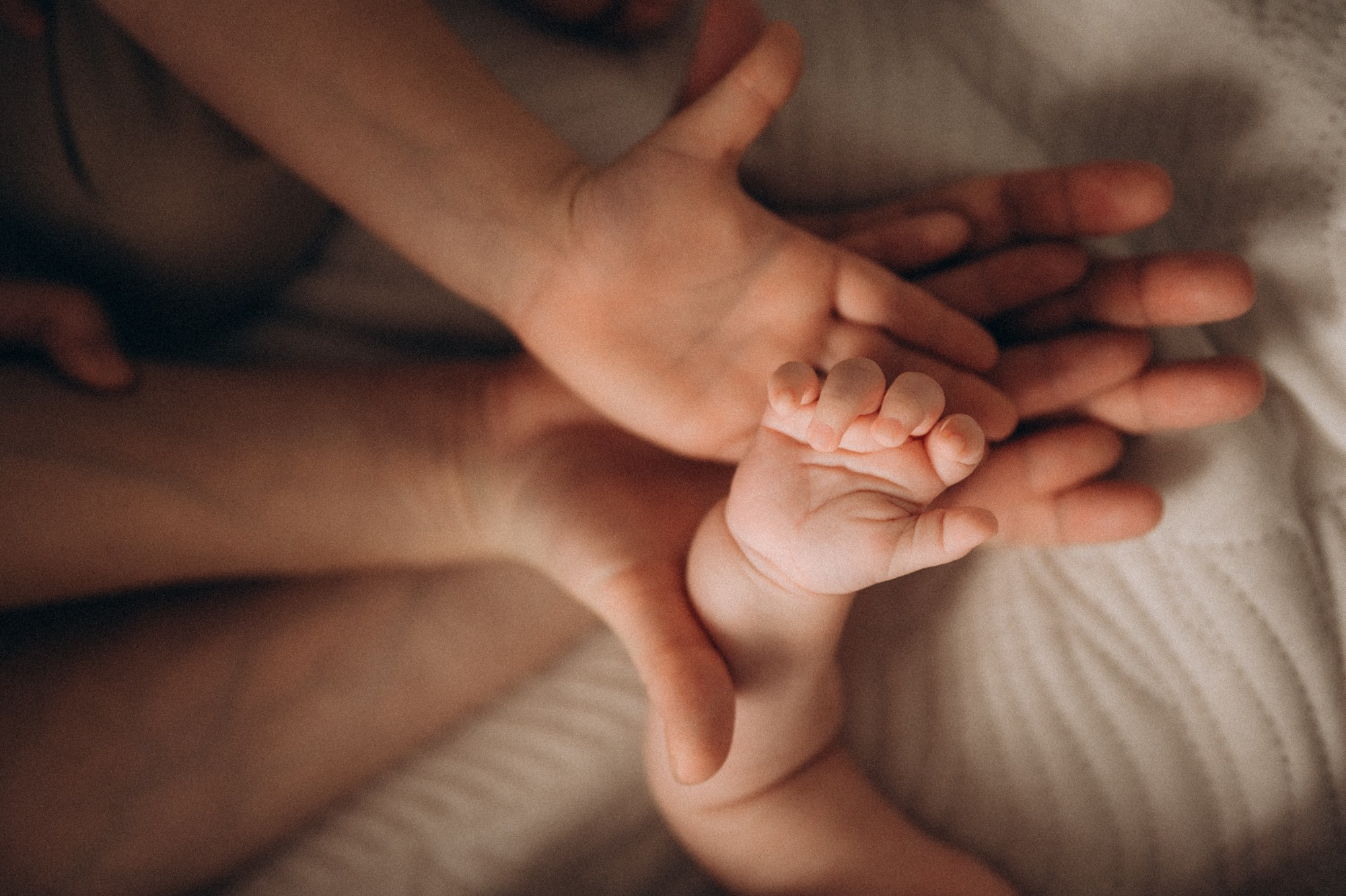 Сергей, Ольга, Саша и Кирилл. Фотограф Горбенко Анна