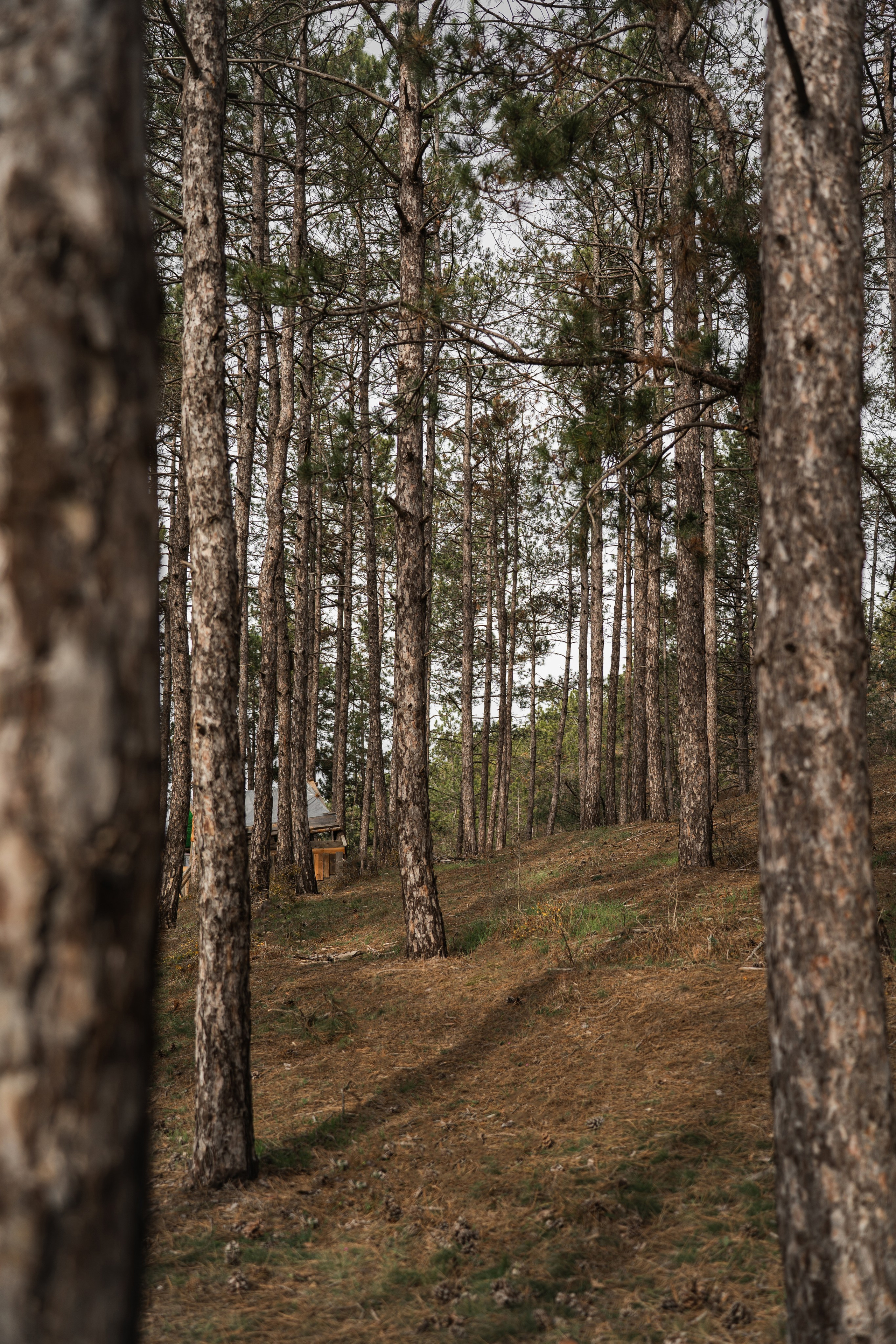 Ева «Красная Шапочка». Фотограф Севастополь — Климова Анастасия