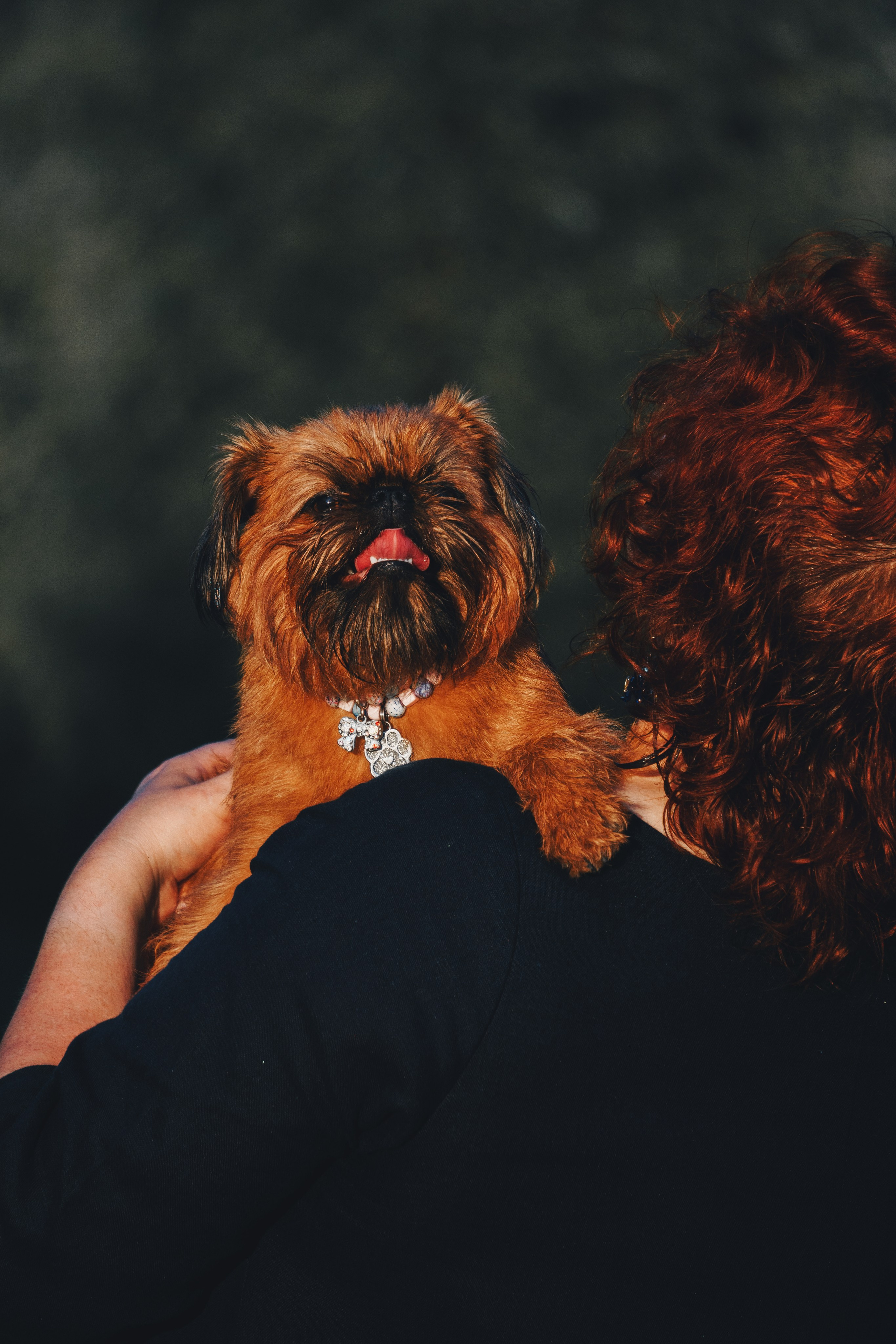 Катя и Яшма. Фотограф-анималист Ксения Воробьева, Москва