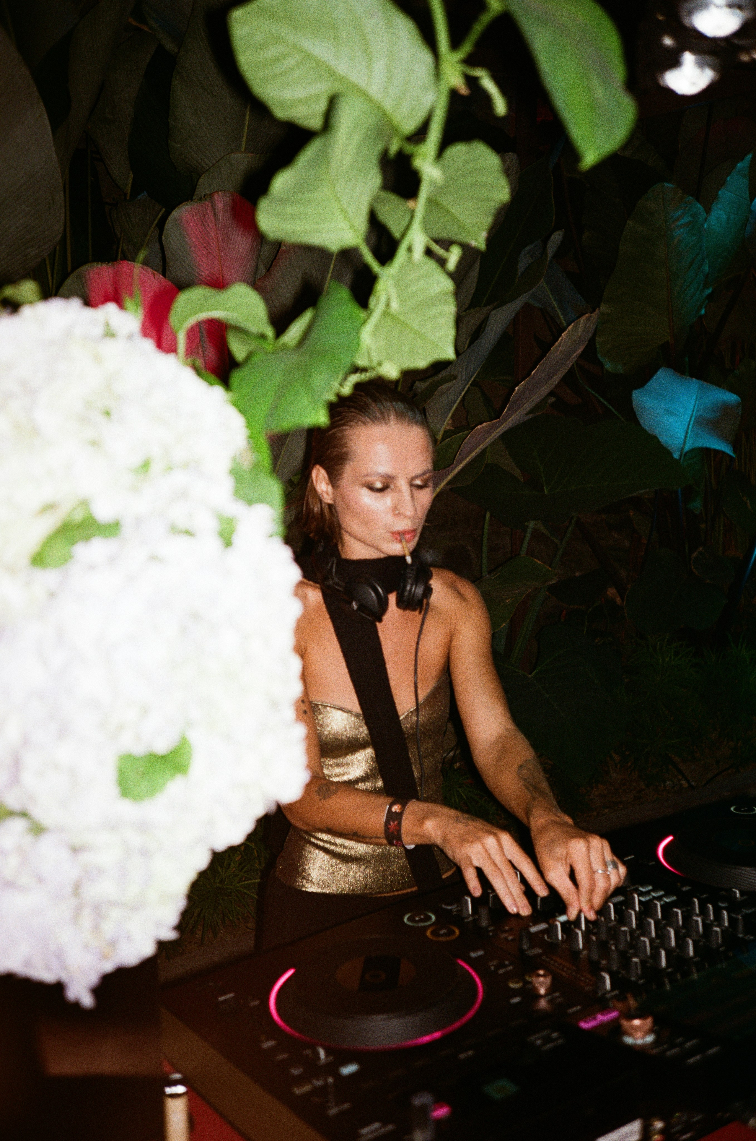 Radiocultura bali on film. Главная