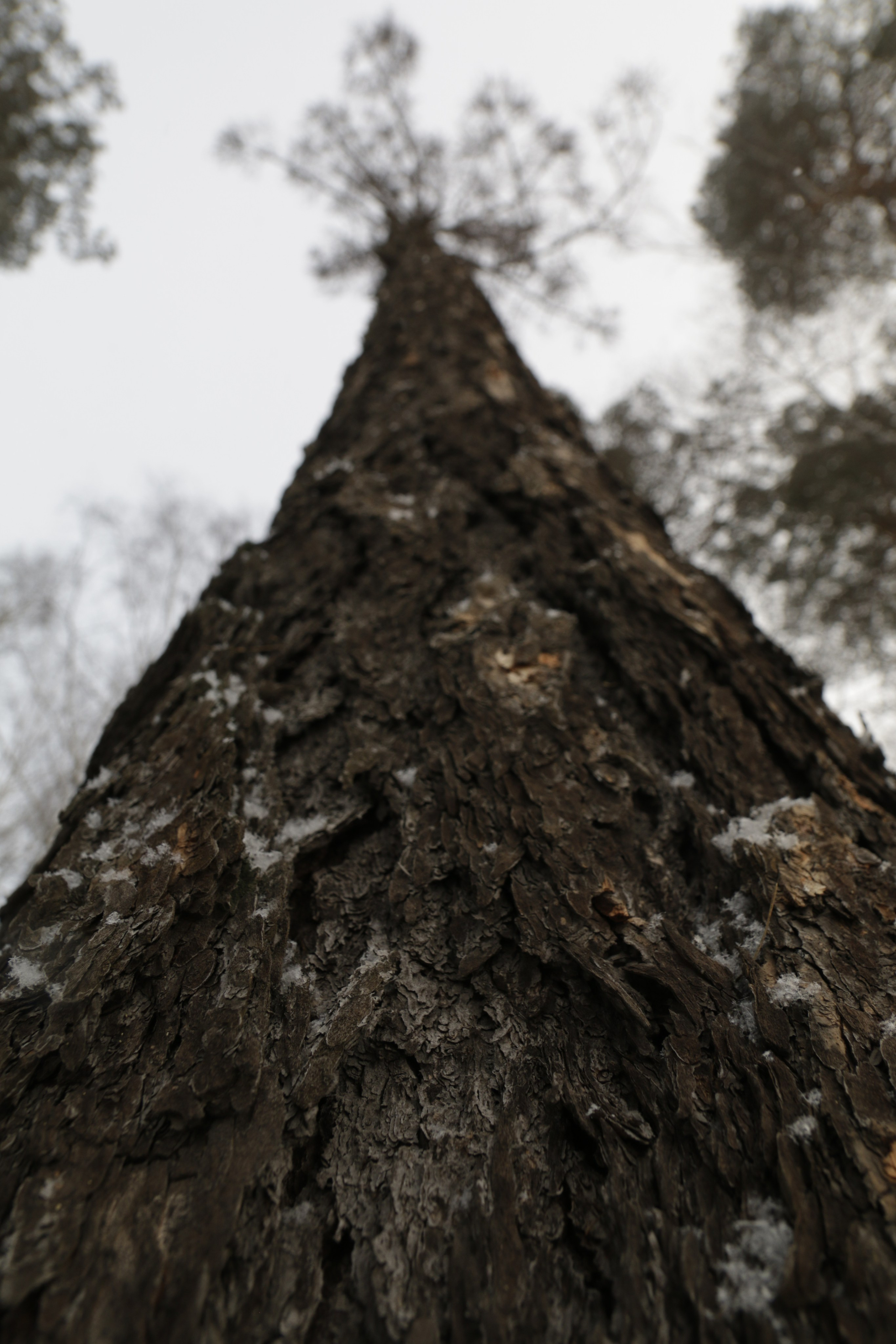 Пища для глаз. Ваш фотограф Северск | Томск