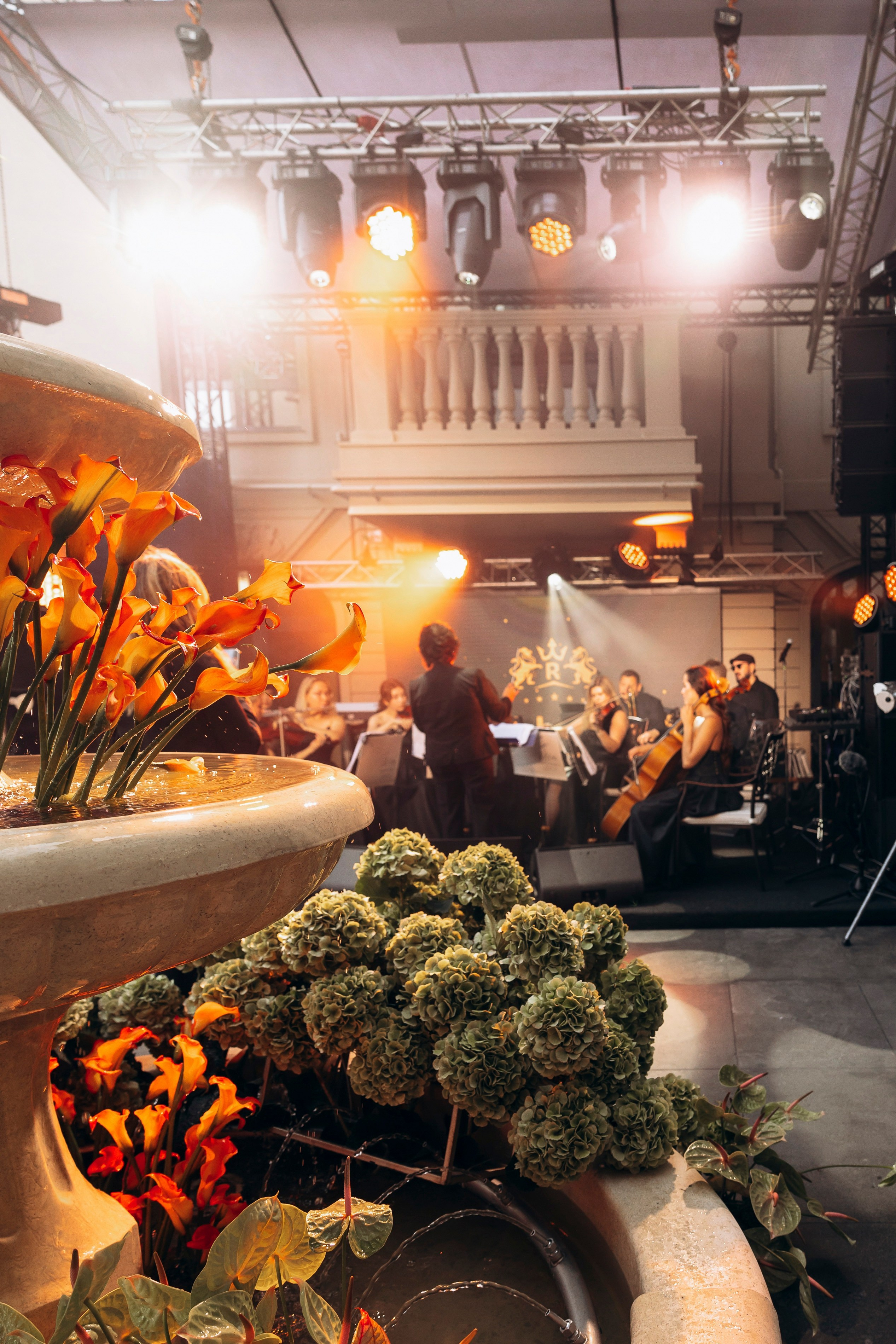 Открытие отеля Royal Lions Grand Hotel 15 сентября 2024. Фотограф в Калининграде свадебная фотография, репортажная, фотосессии