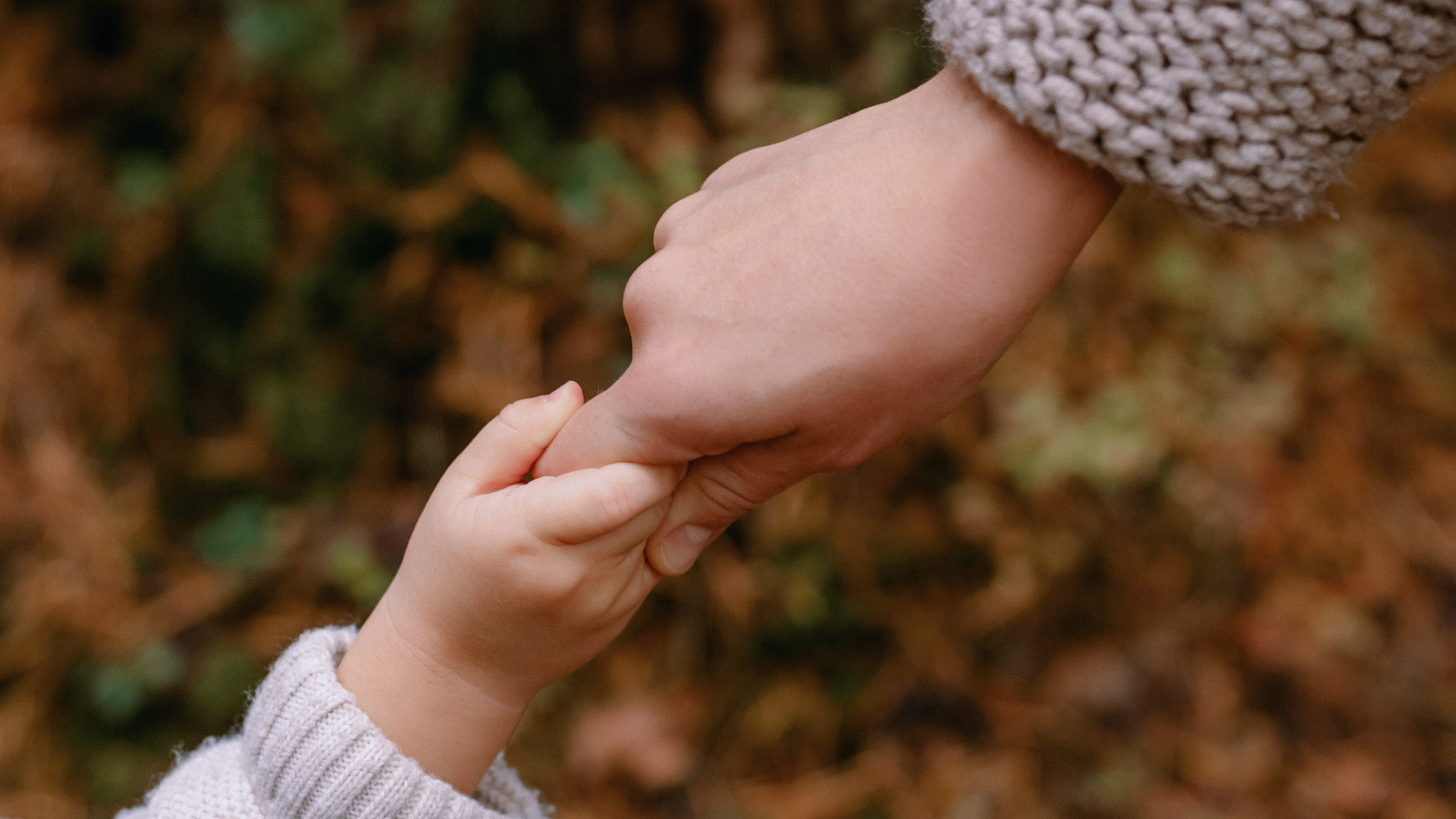 Фотосессия в лесу. Фотограф Юлия Кондратьева