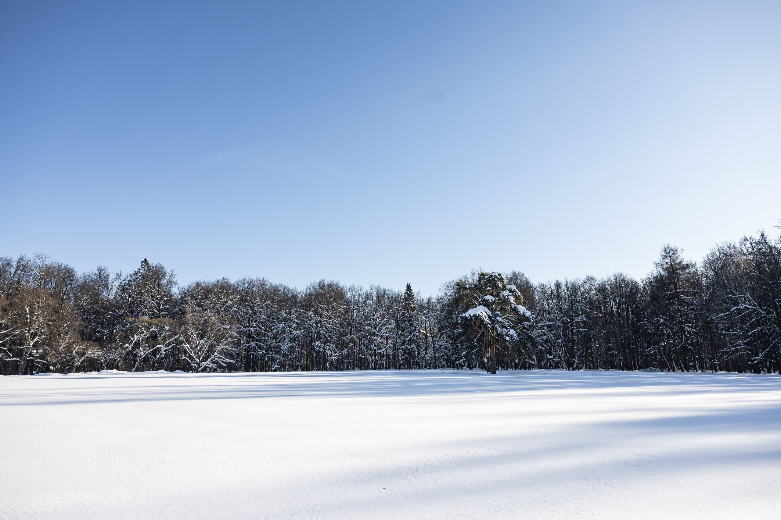 Природа. Фотограф Владимир Охрименко