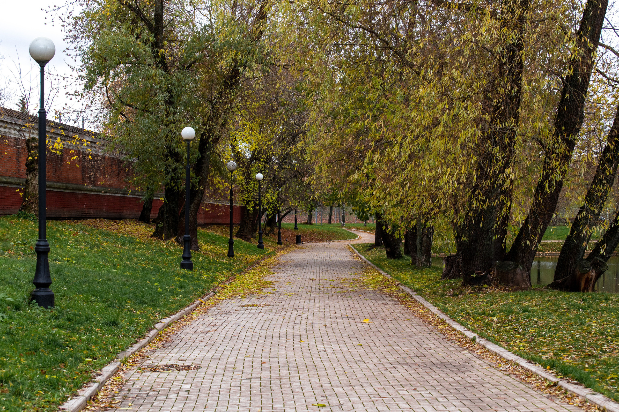 20221030 Новодевичий. Дмитрий Ремизов. Фотография, как хобби