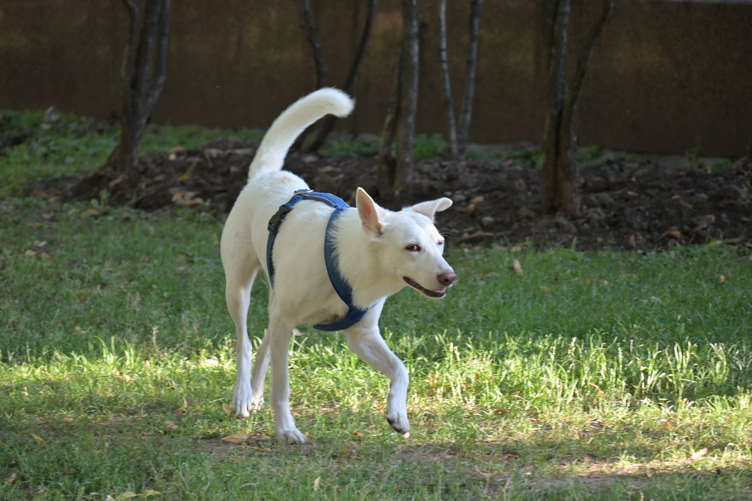 20240720 от Сретенского бульвара до площади Революции. Дмитрий Ремизов. Фотография, как хобби