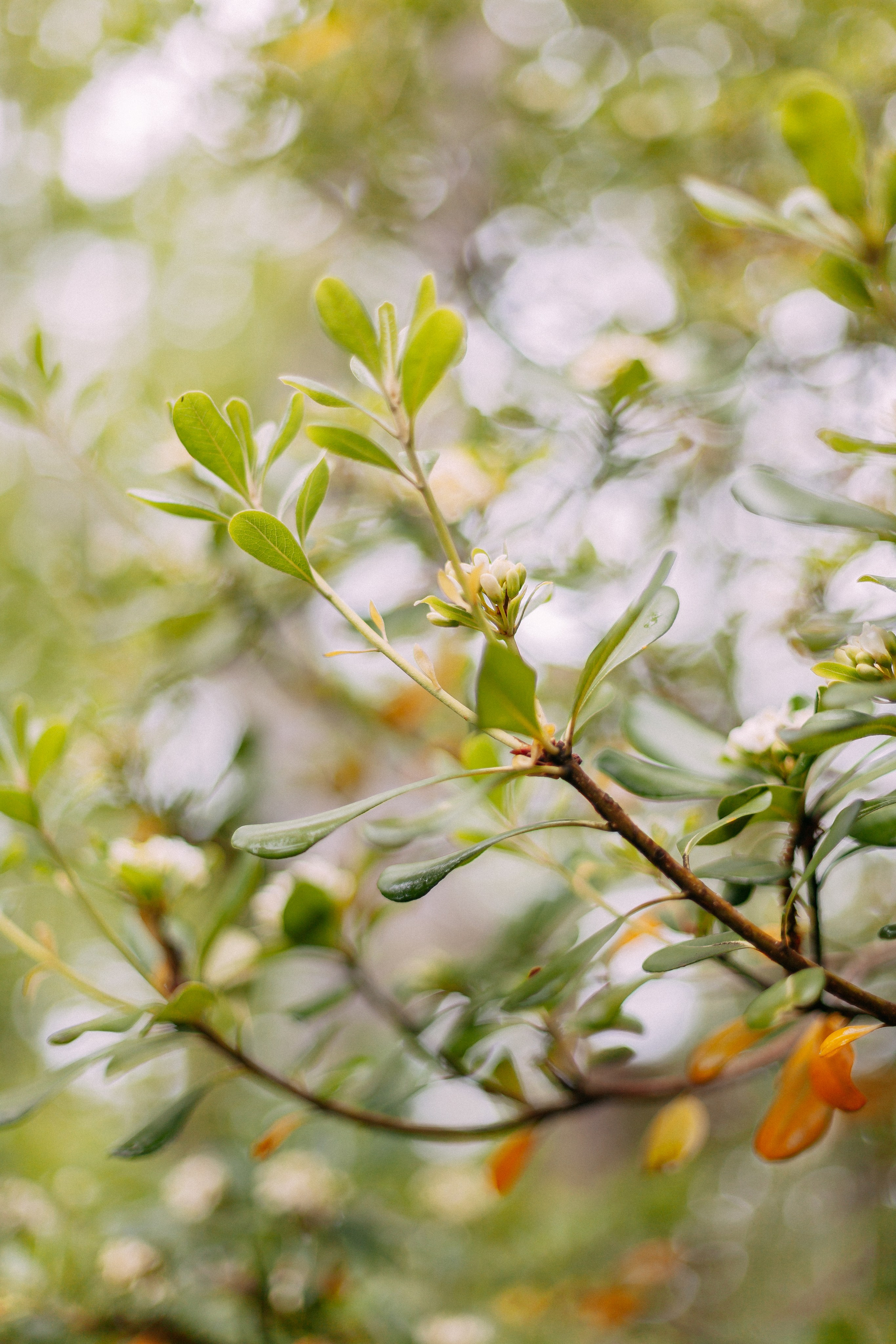 Сочи. Аня Степанова
