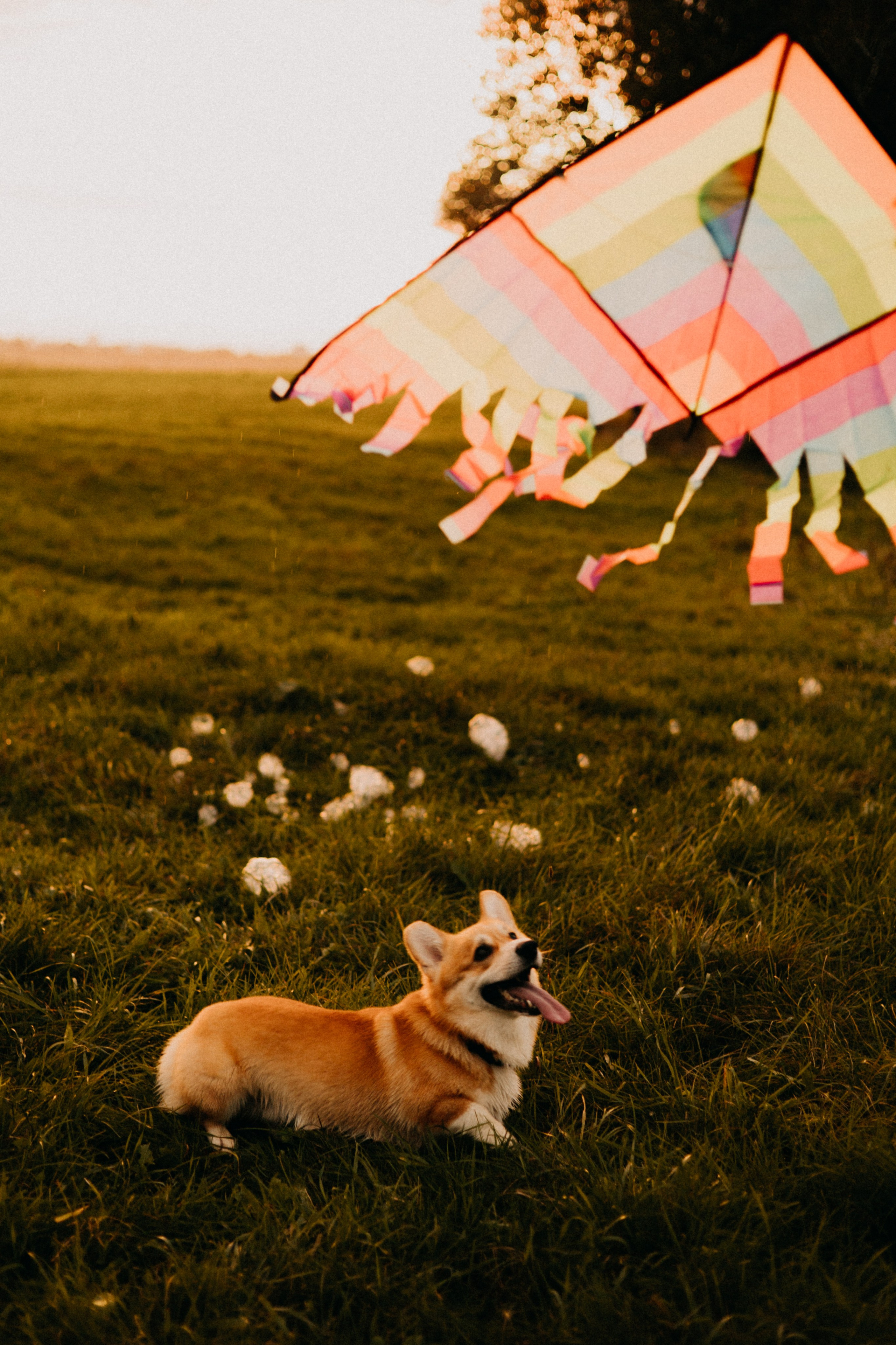 Заметили радугу?. Фотограф Настя Леонова
