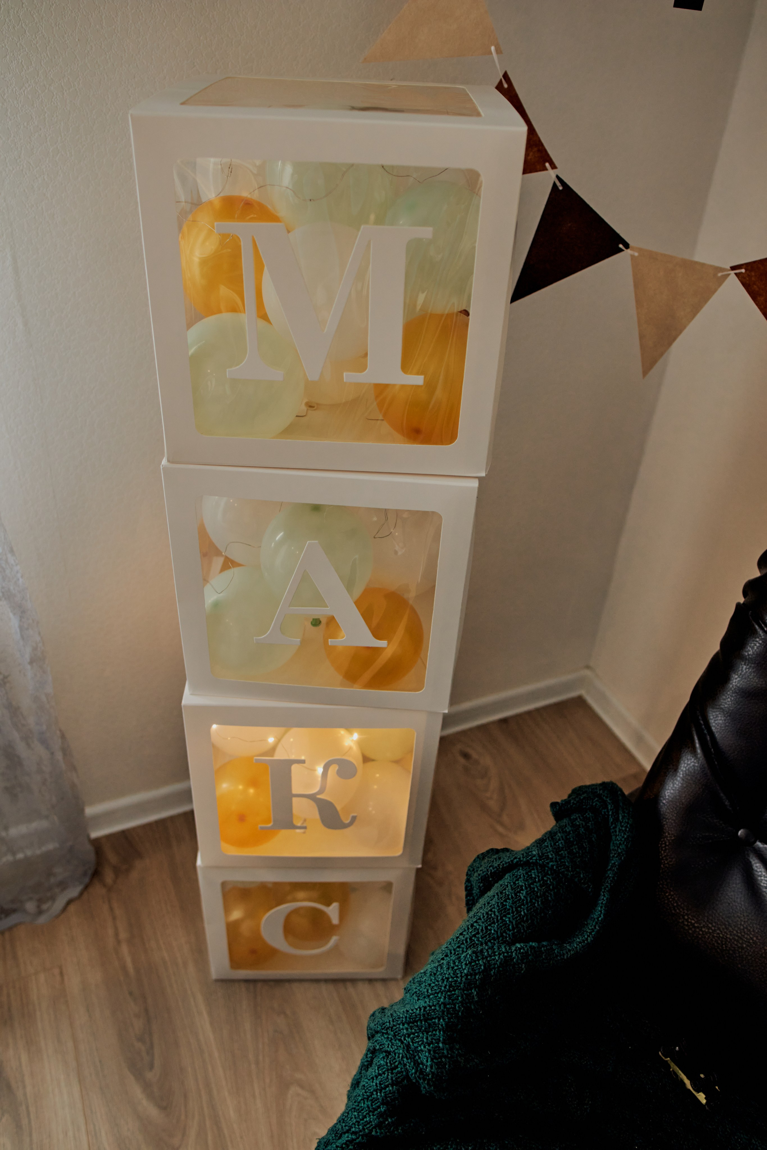 Три кота. Фотограф Москва