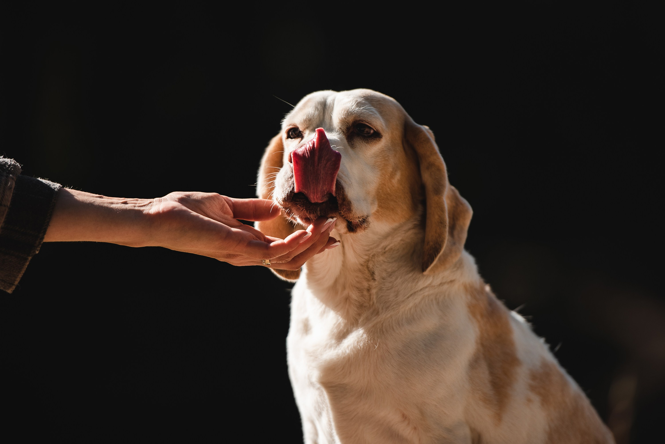 Оля и Ника. Семейный Фотограф в Москве Ирина Хохлова