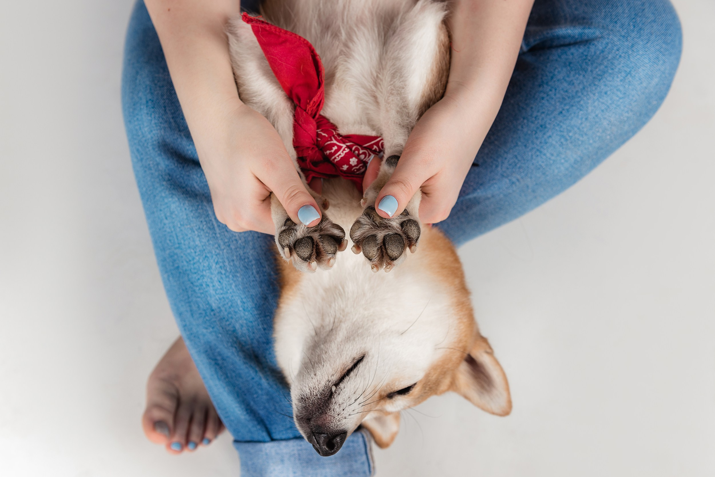 Оля и Бартра. Семейный Фотограф в Москве Ирина Хохлова