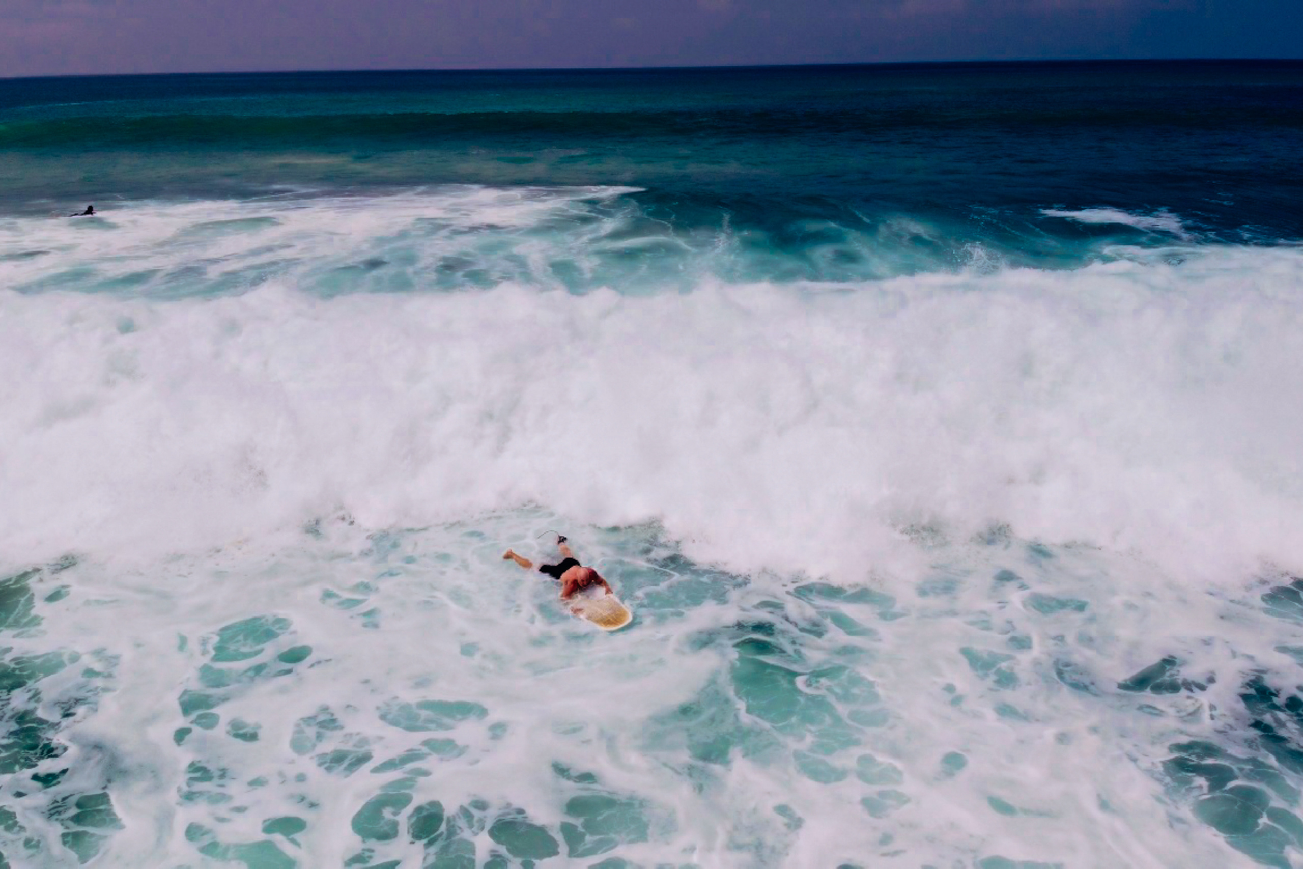 Midigama_bich. Ведущий на праздник в Москве / Денис Аганин