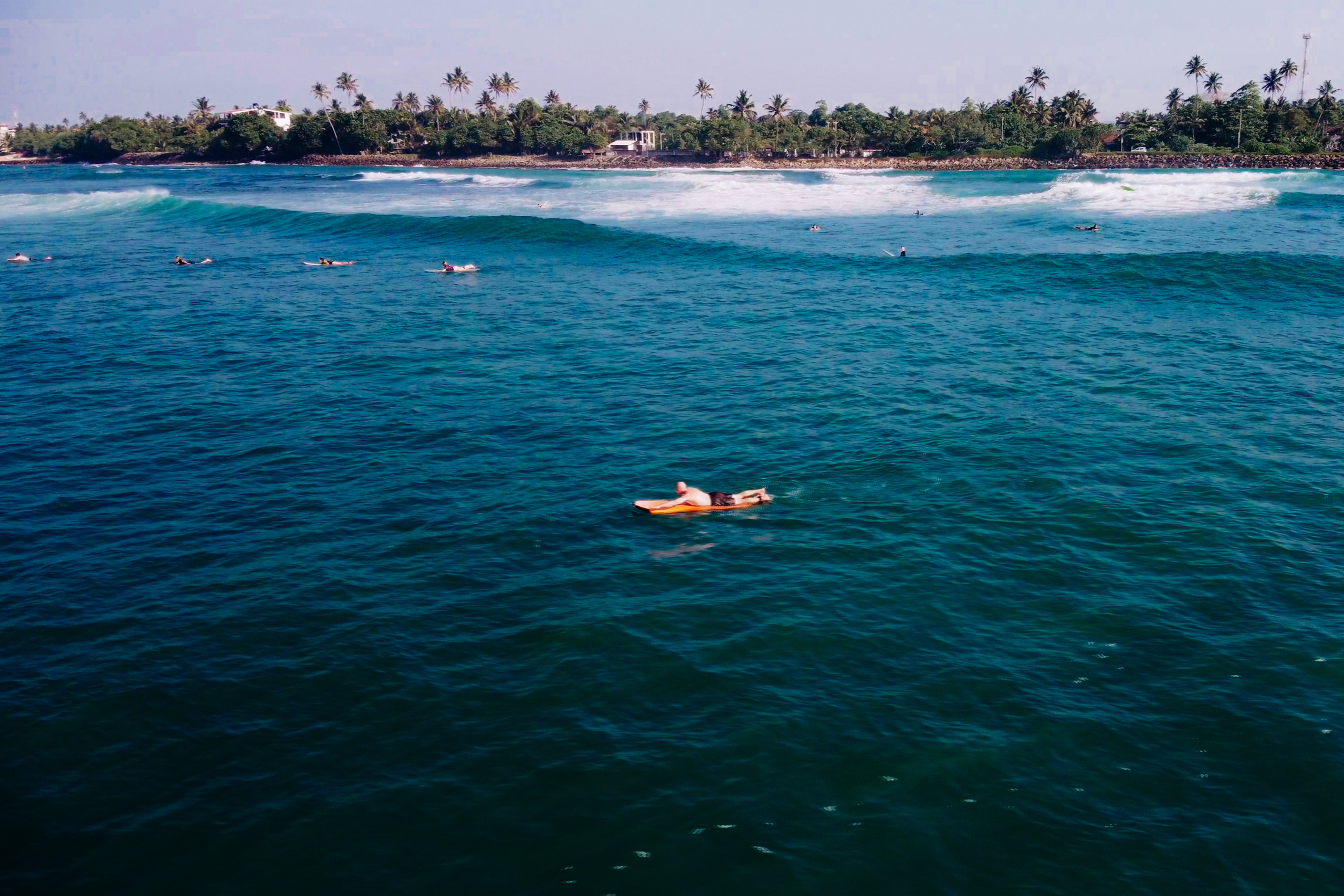Midigama_bich. Ведущий на праздник в Москве / Денис Аганин