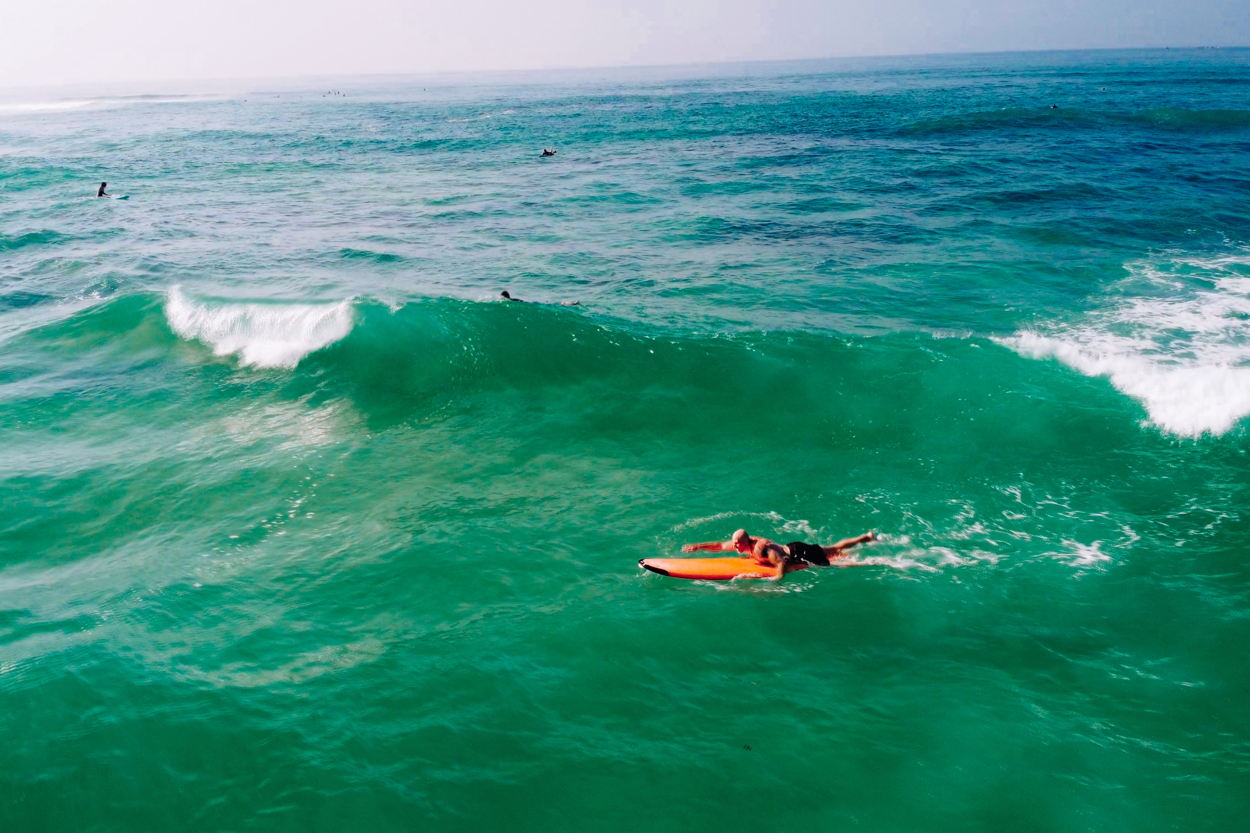 Midigama_bich. Ведущий на праздник в Москве / Денис Аганин