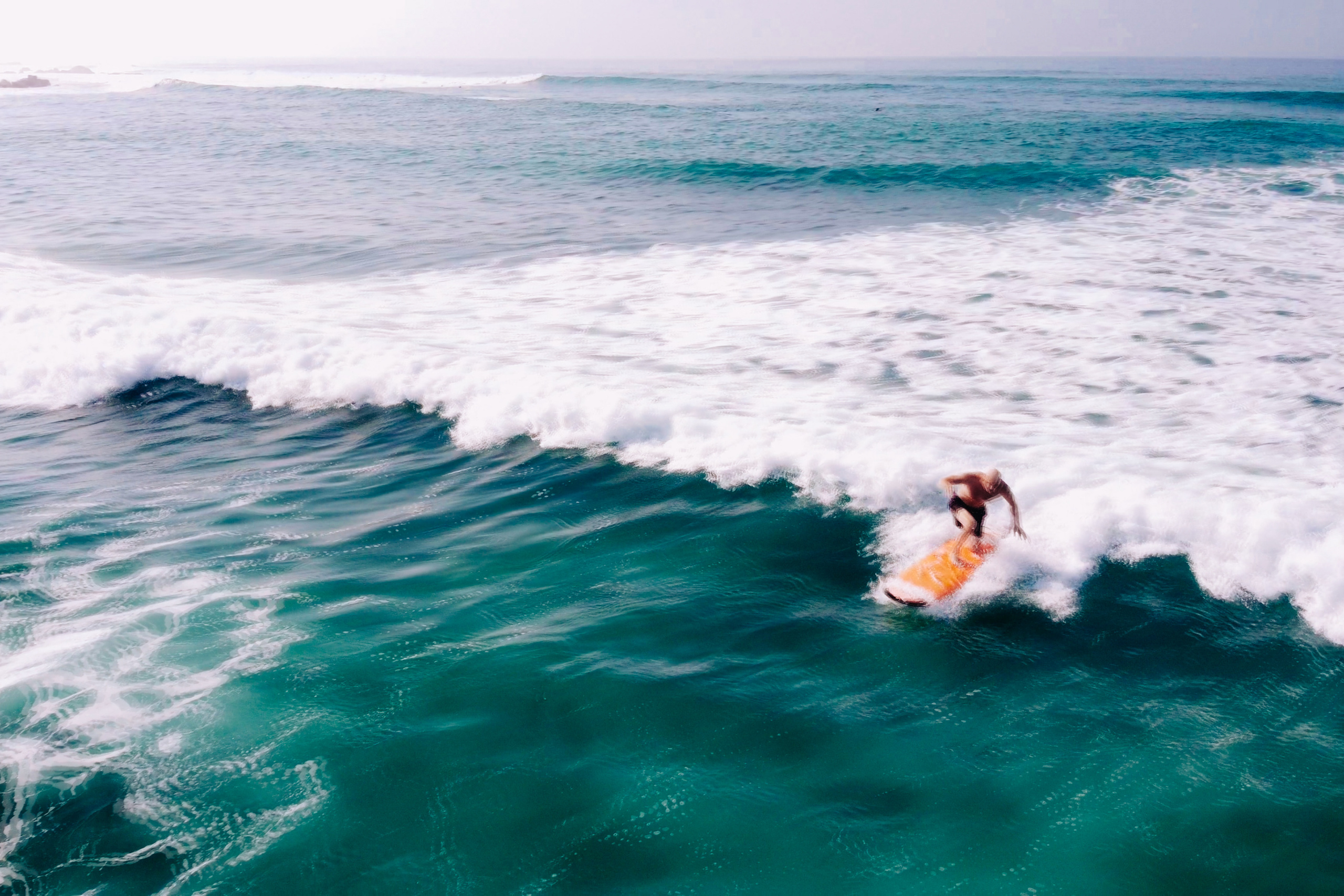 Midigama_bich. Ведущий на праздник в Москве / Денис Аганин