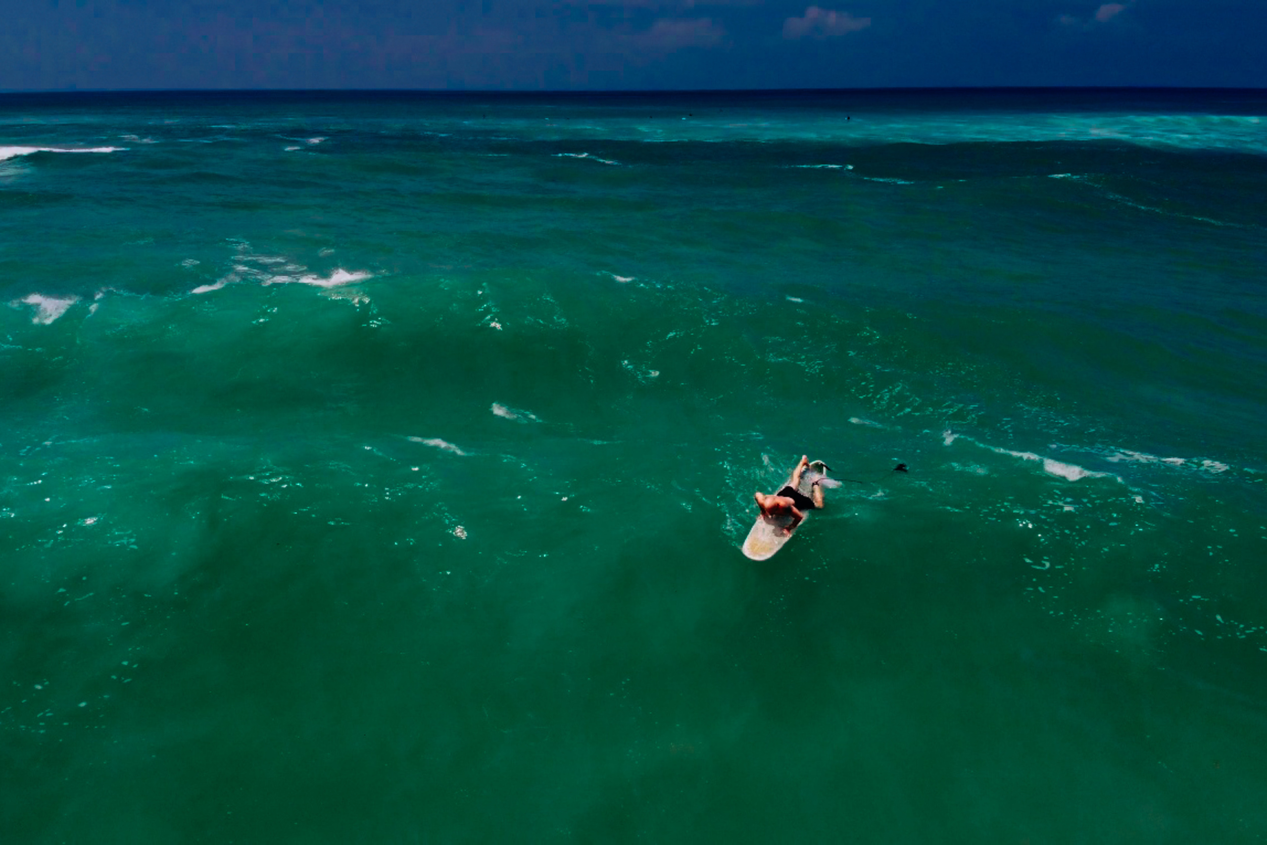 Midigama_bich. Ведущий на праздник в Москве / Денис Аганин