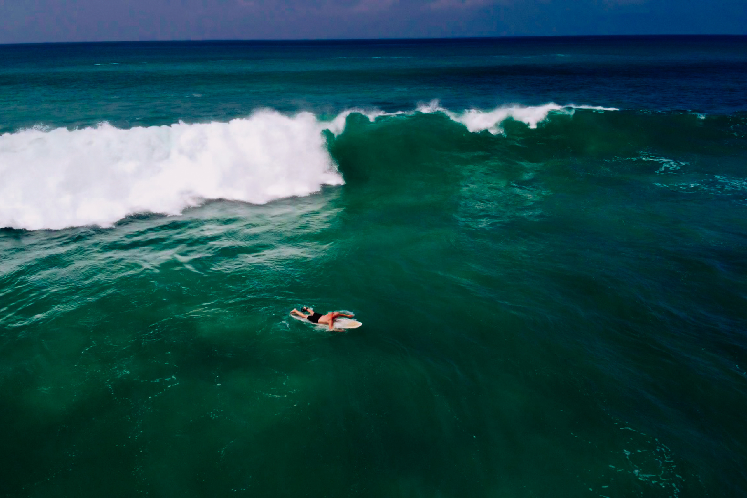 Midigama_bich. Ведущий на праздник в Москве / Денис Аганин
