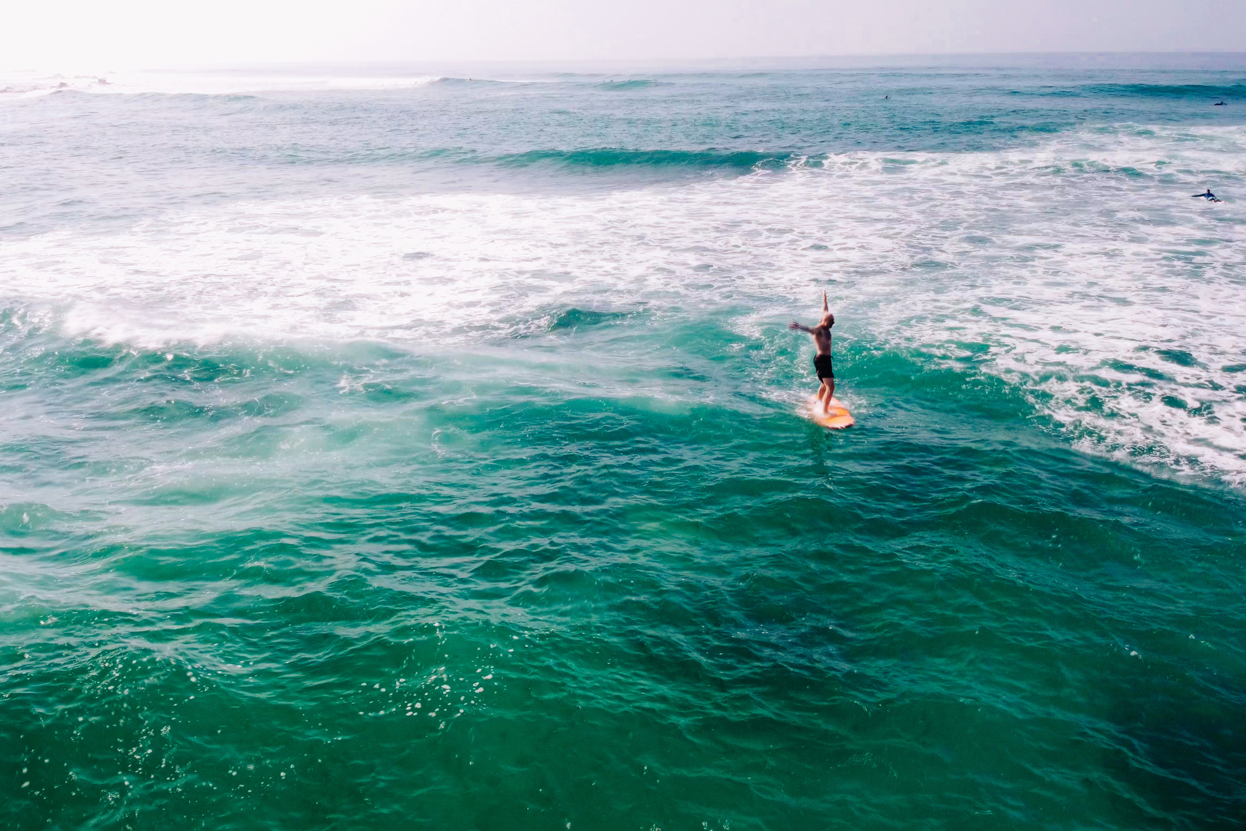 Midigama_bich. Ведущий на праздник в Москве / Денис Аганин