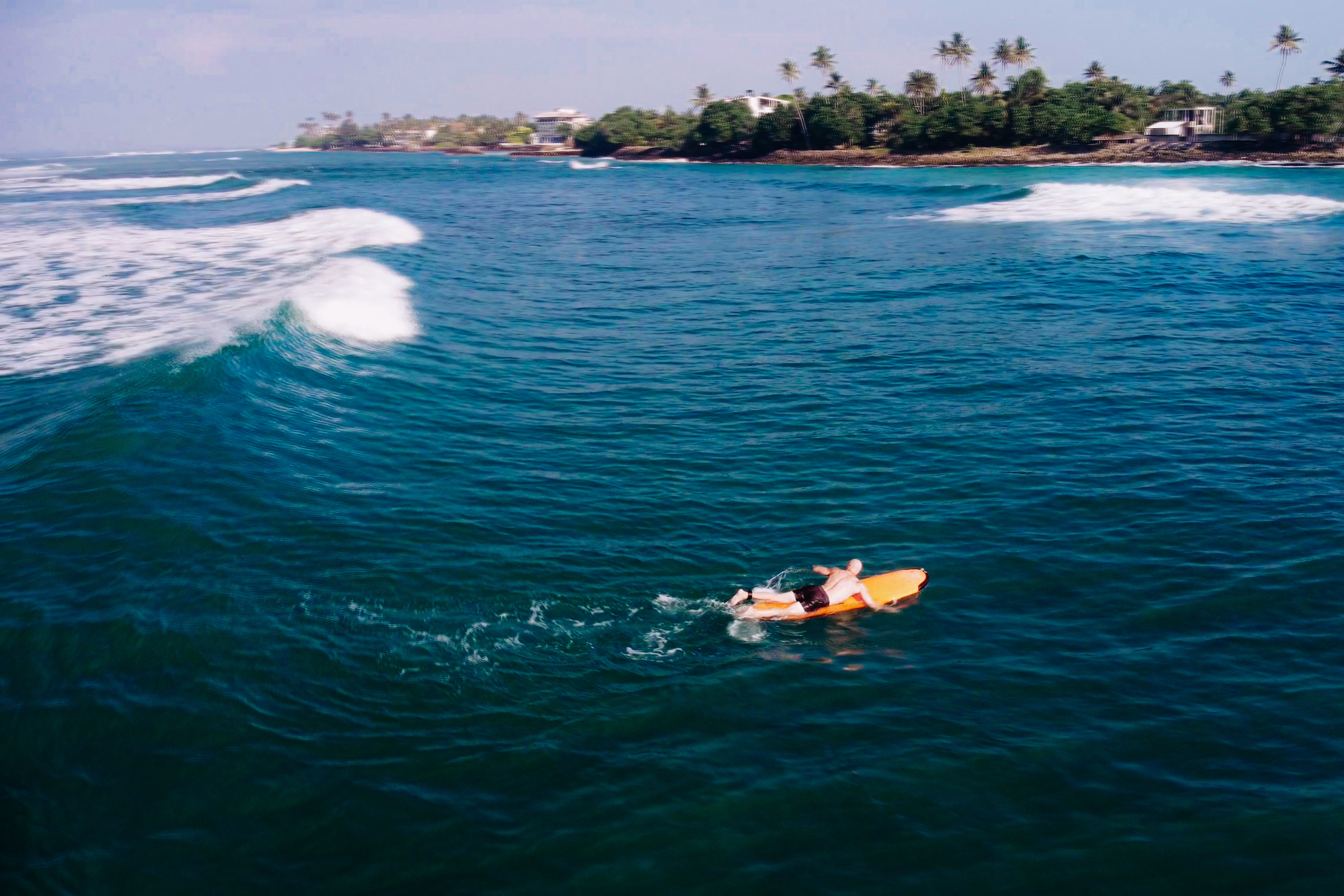 Midigama_bich. Ведущий на праздник в Москве / Денис Аганин
