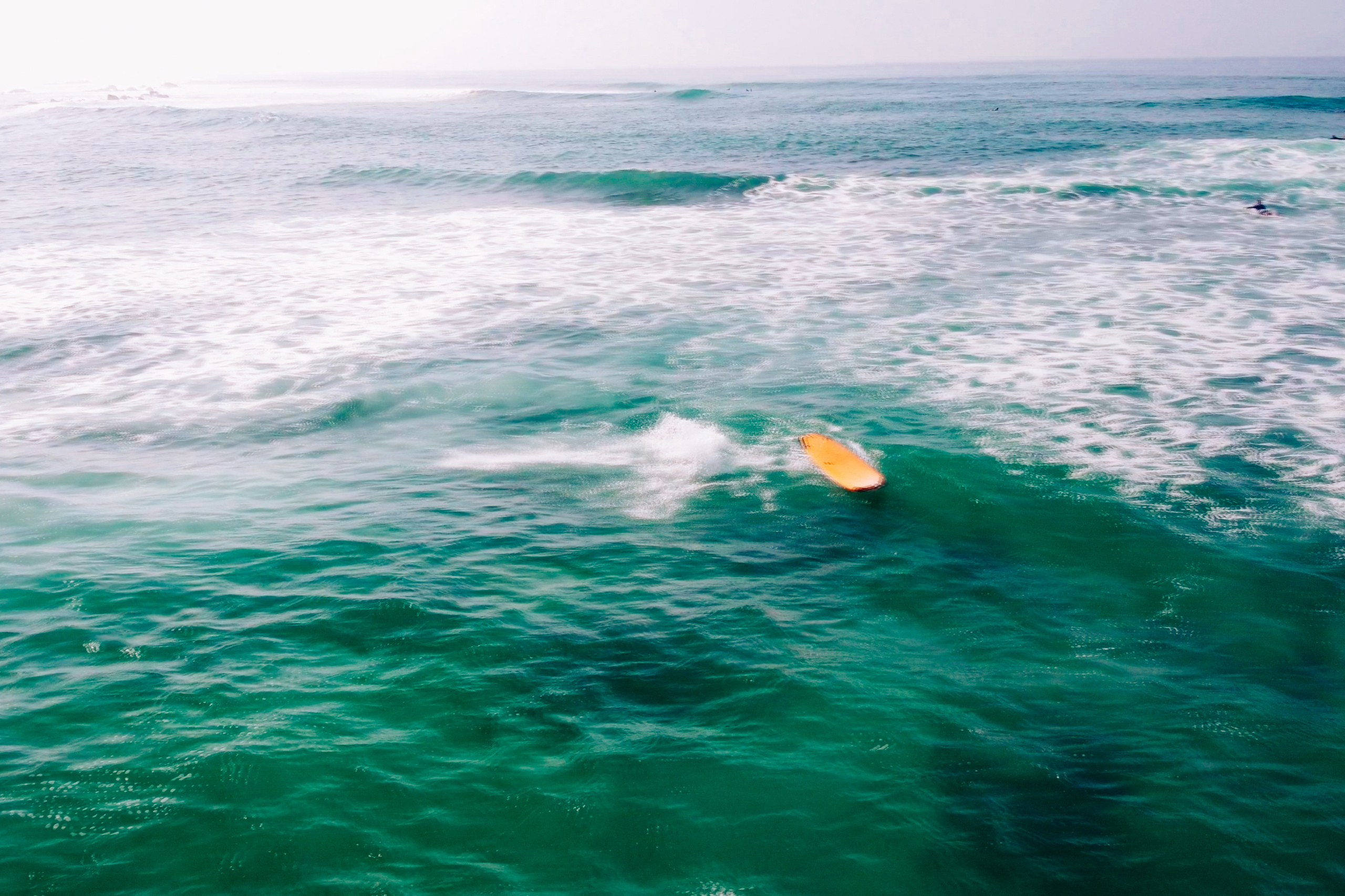 Midigama_bich. Ведущий на праздник в Москве / Денис Аганин