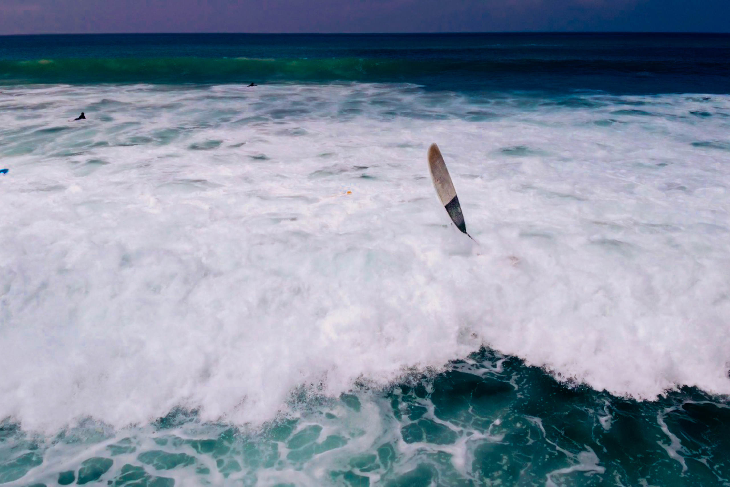 Midigama_bich. Ведущий на праздник в Москве / Денис Аганин