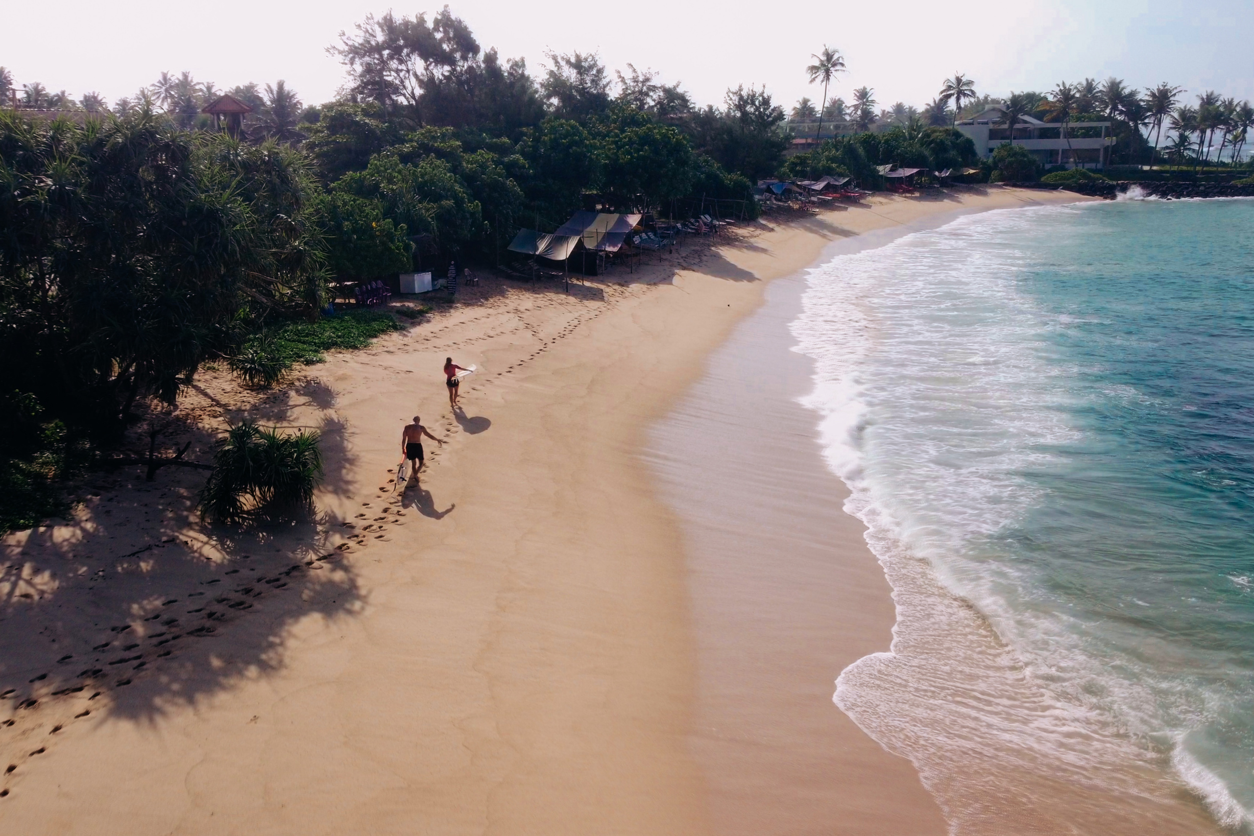 Midigama_bich. Ведущий на праздник в Москве / Денис Аганин