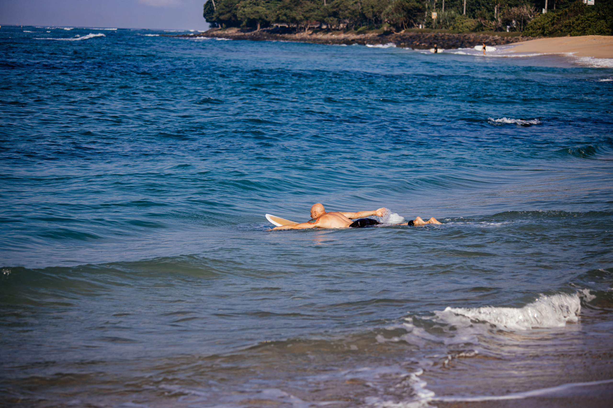 Midigama_bich. Ведущий на праздник в Москве / Денис Аганин