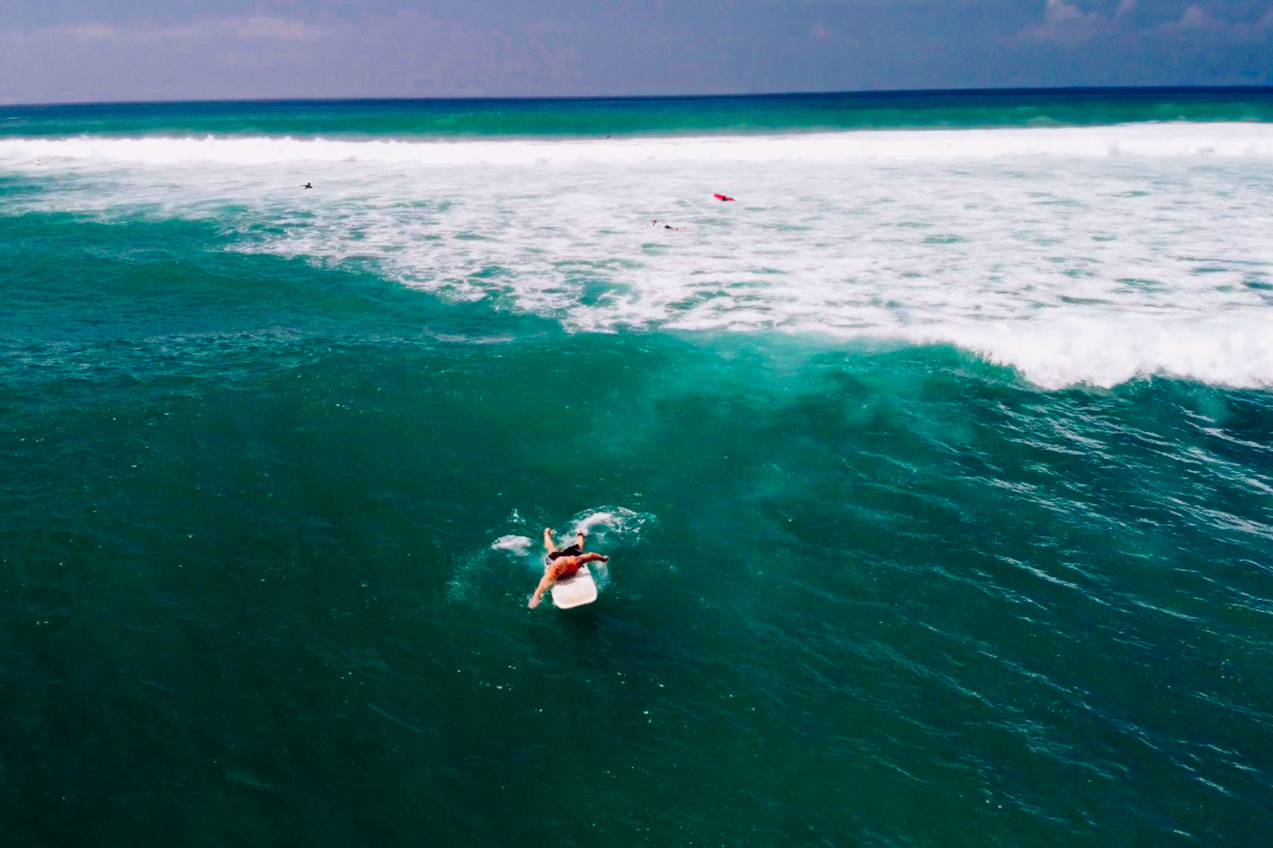 Midigama_bich. Ведущий на праздник в Москве / Денис Аганин